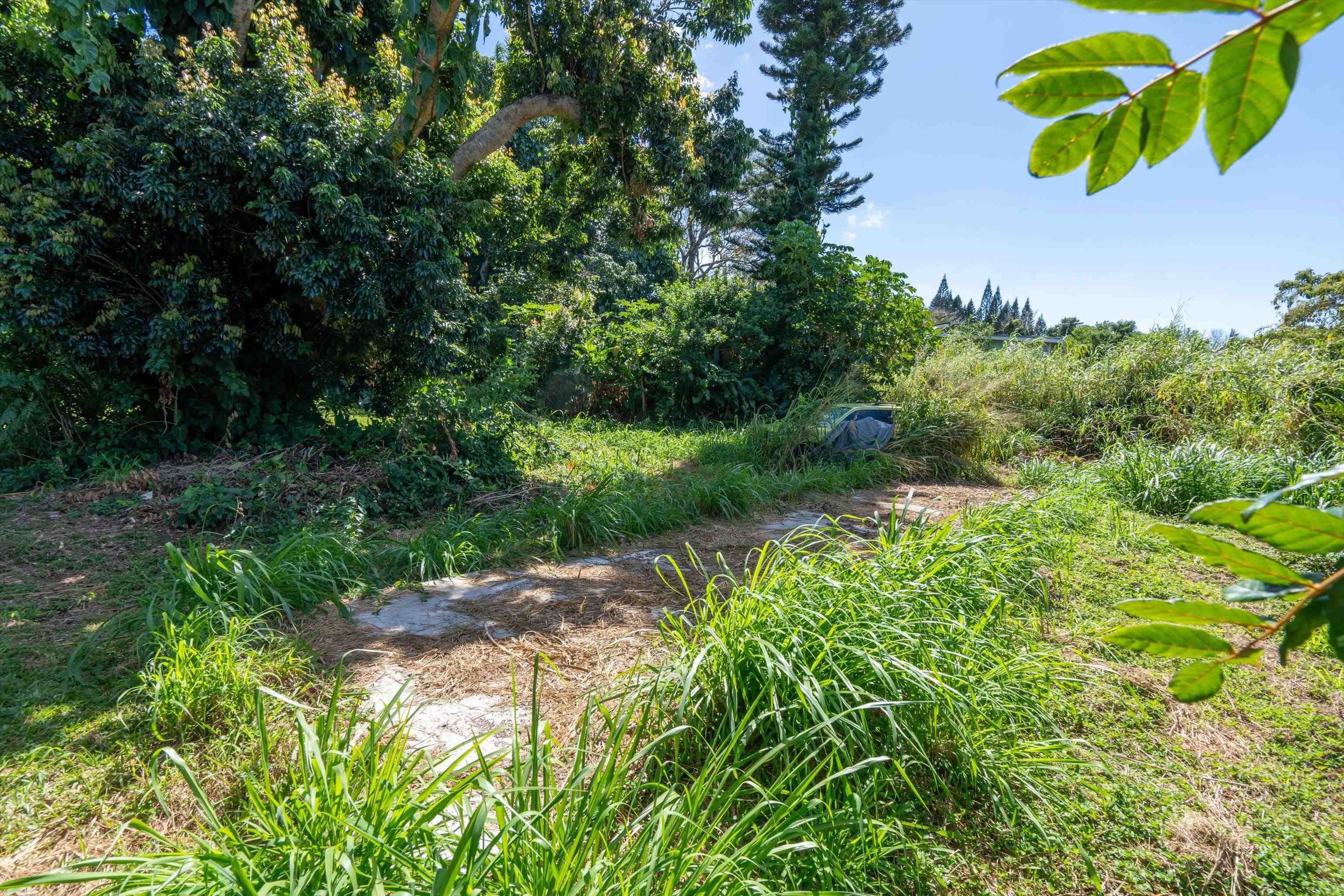 1706 Haiku Rd  Haiku, Hi vacant land for sale - photo 2 of 18