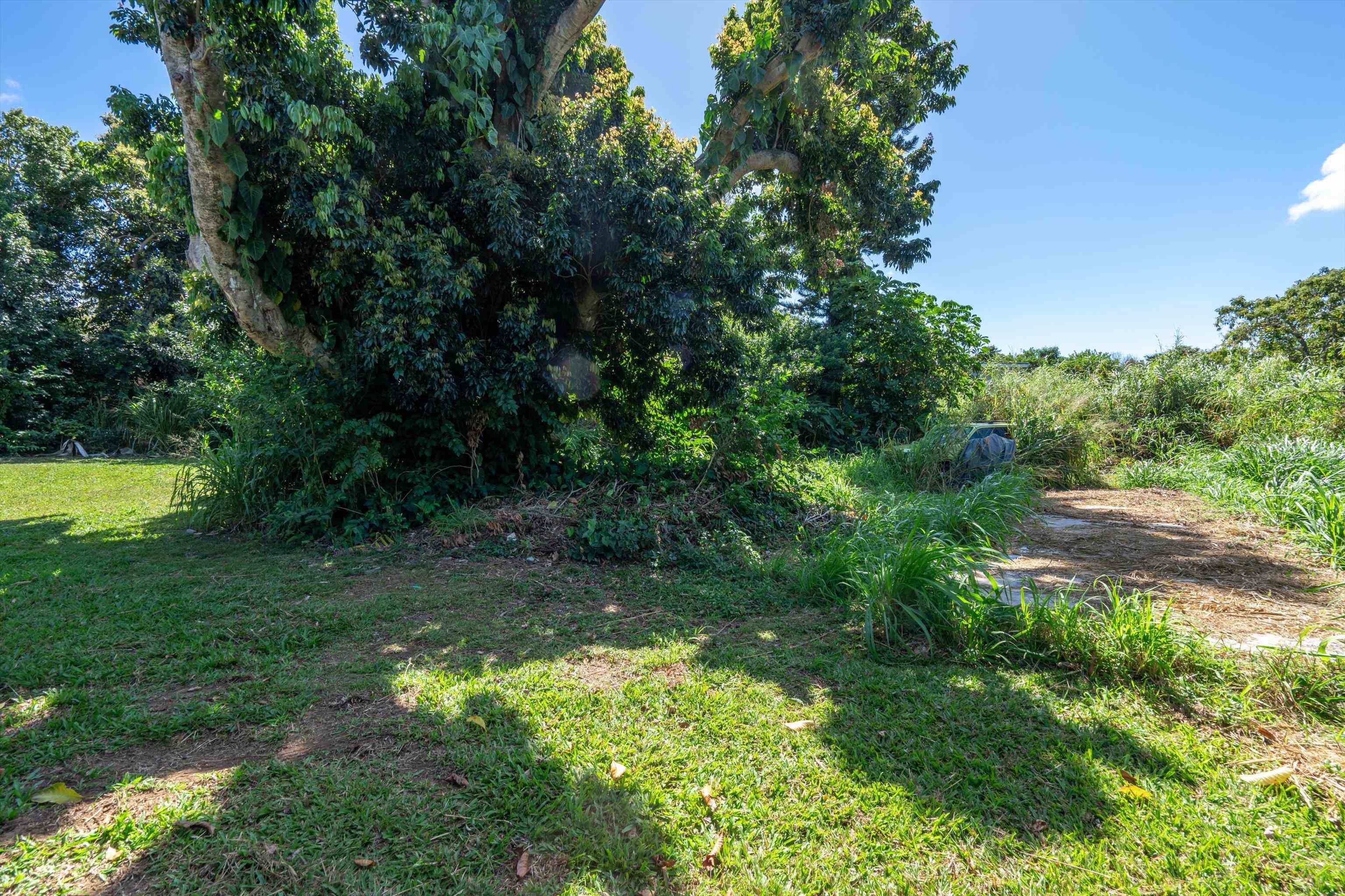 1706 Haiku Rd Rd  Haiku, Hi vacant land for sale - photo 12 of 20