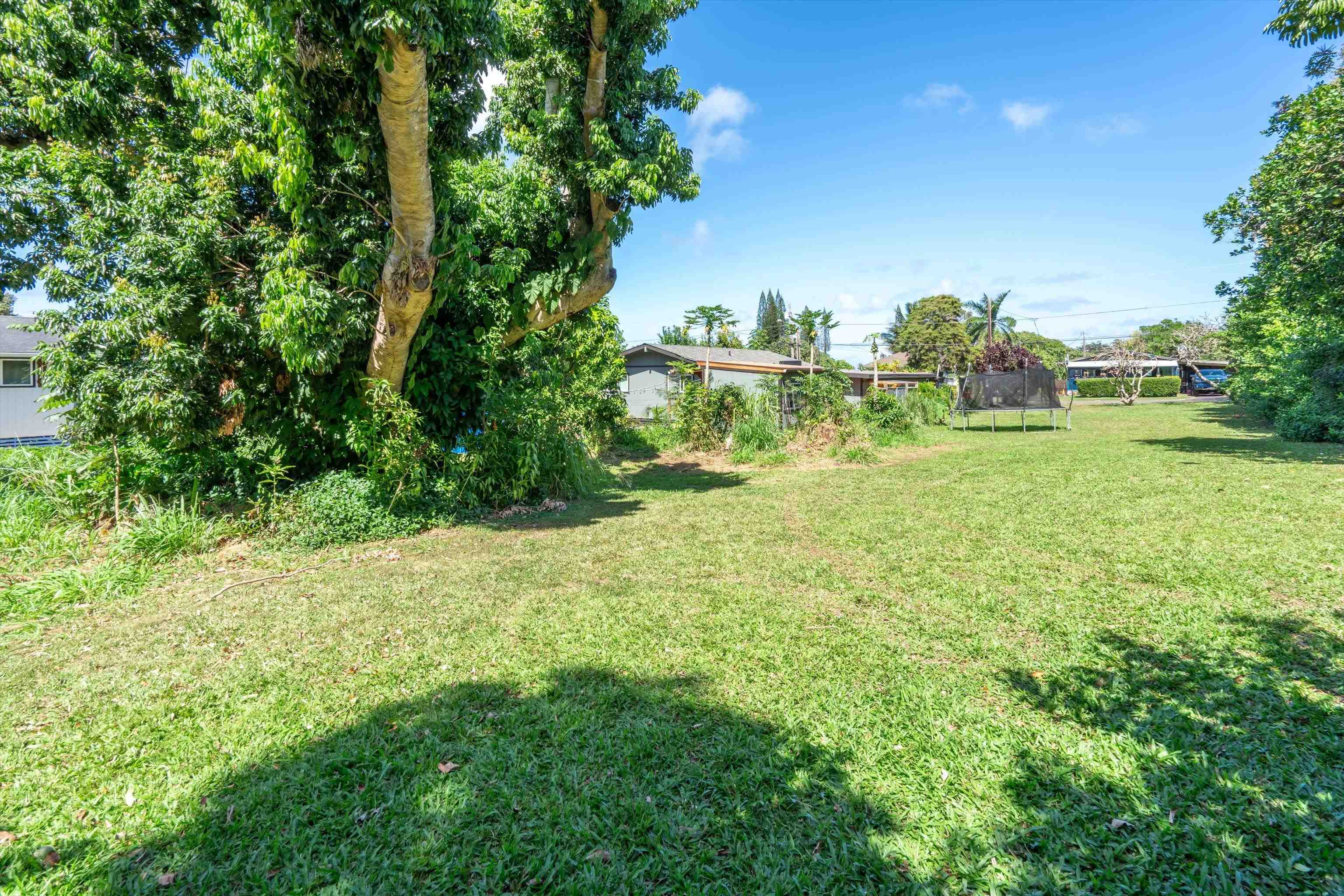 1706 Haiku Rd Rd  Haiku, Hi vacant land for sale - photo 14 of 20