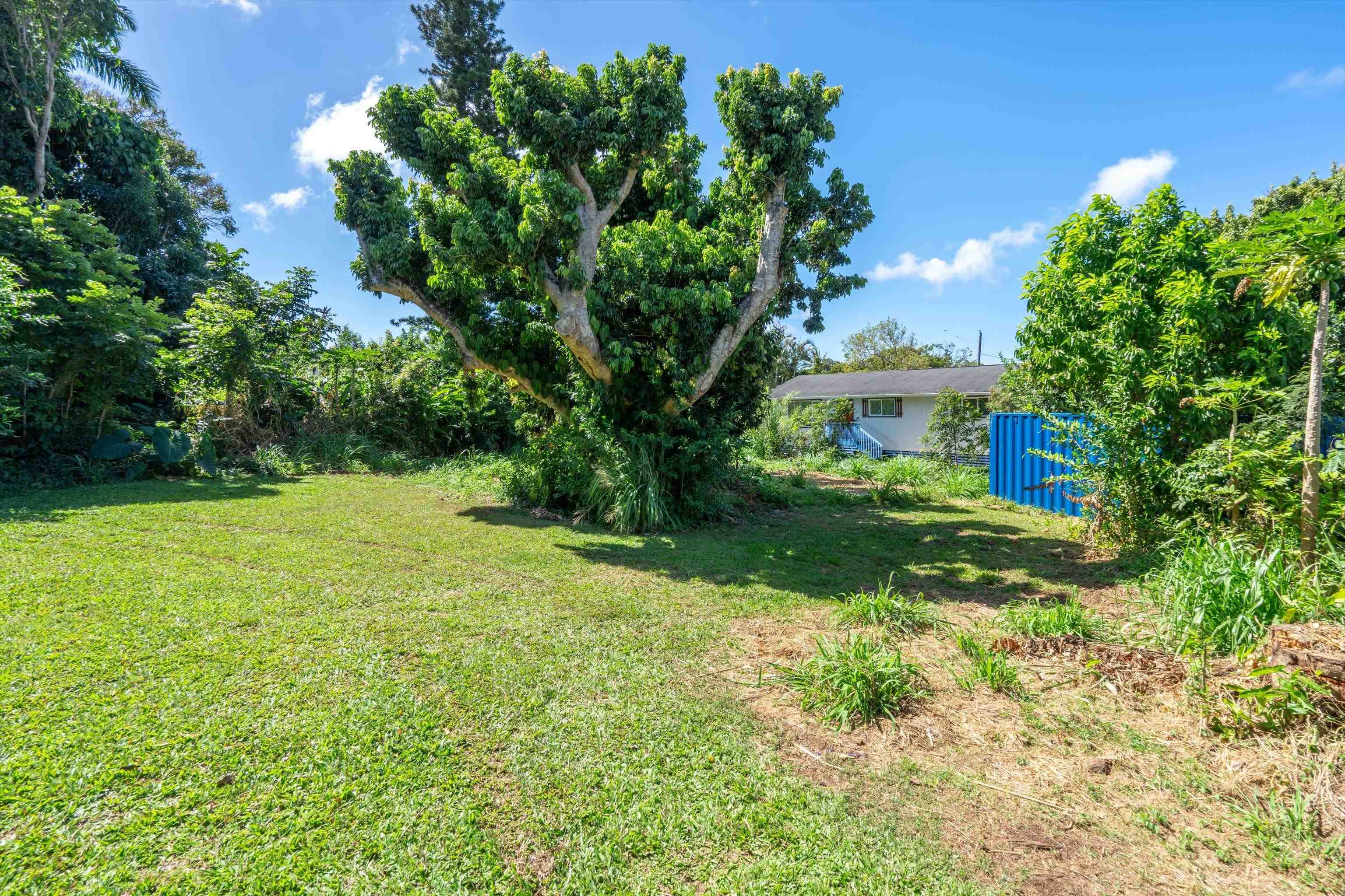 1706 Haiku Rd Rd  Haiku, Hi vacant land for sale - photo 15 of 20