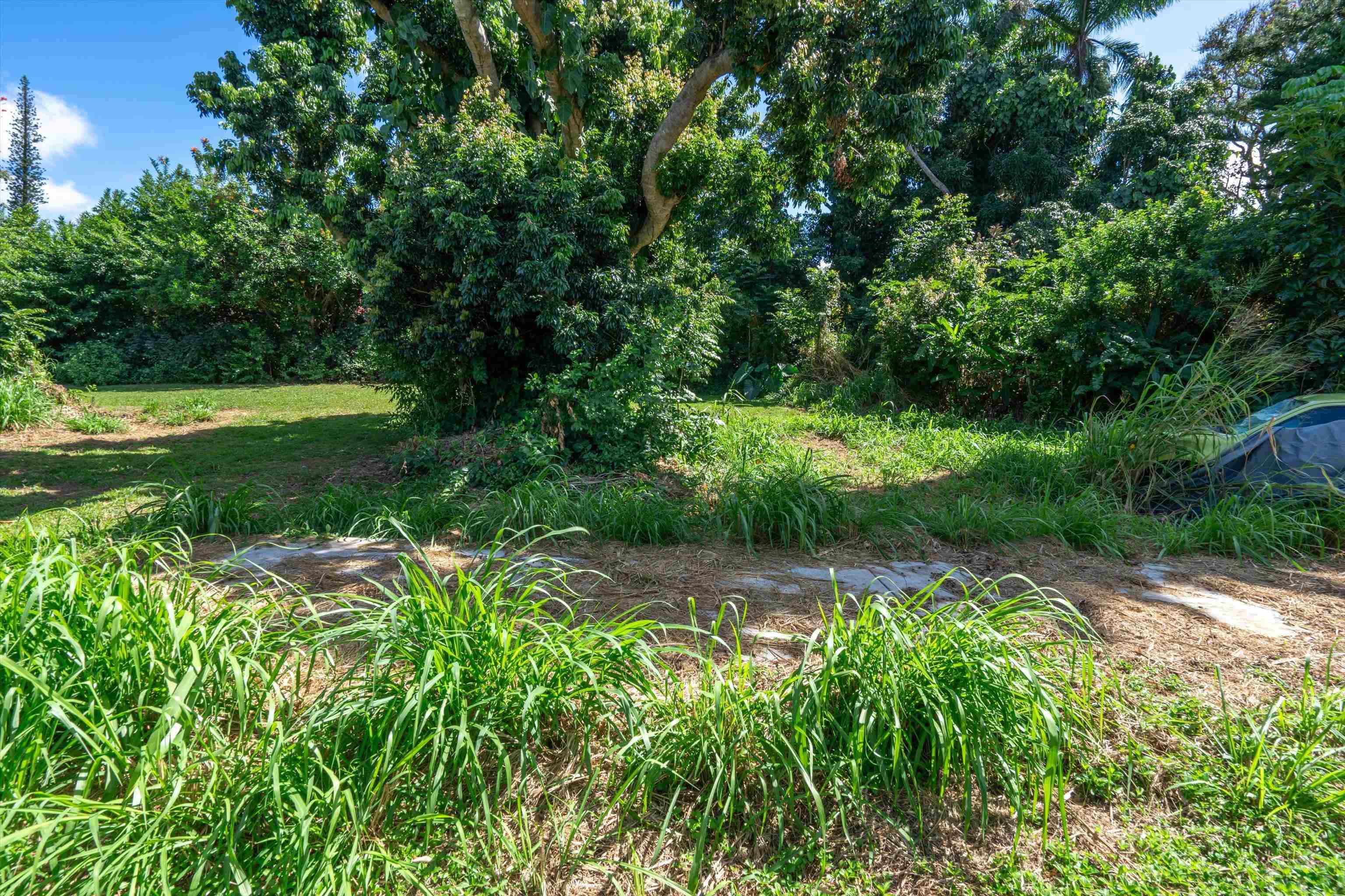 1706 Haiku Rd Rd  Haiku, Hi vacant land for sale - photo 17 of 20
