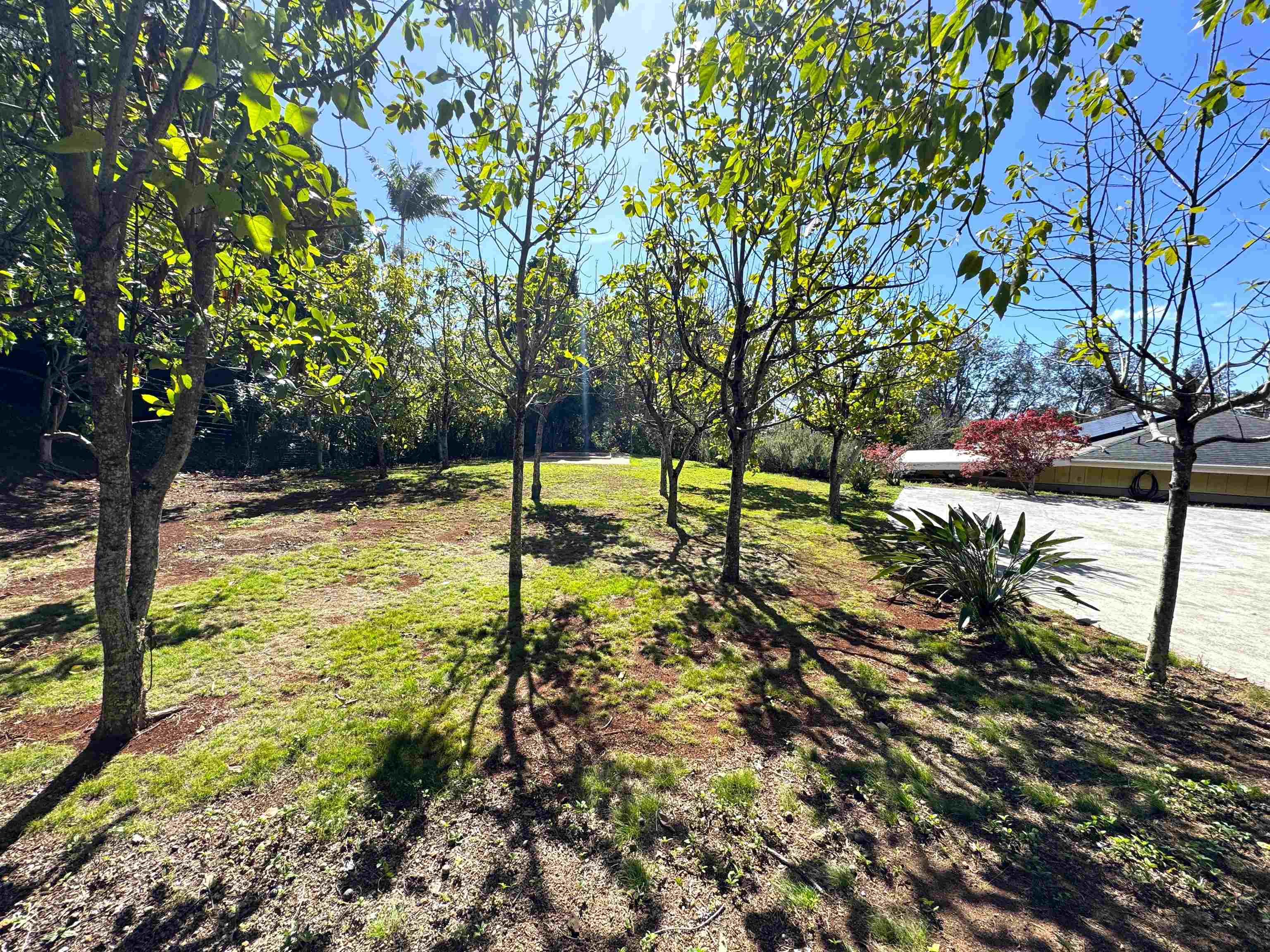 1711  Kalae Hwy Kalae, Molokai home - photo 9 of 34