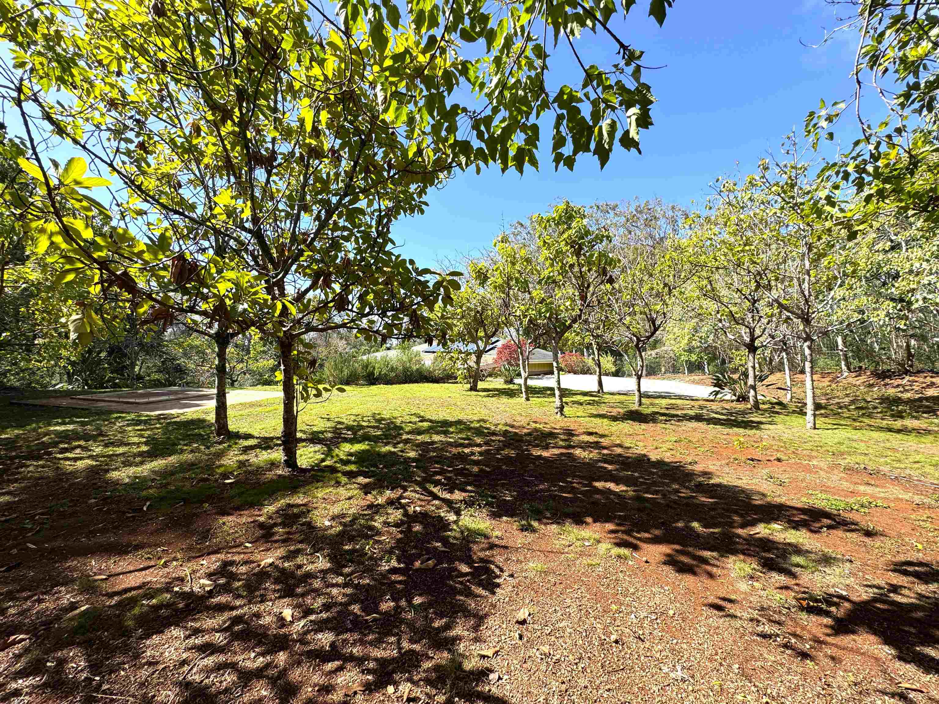 1711  Kalae Hwy Kalae, Molokai home - photo 10 of 34