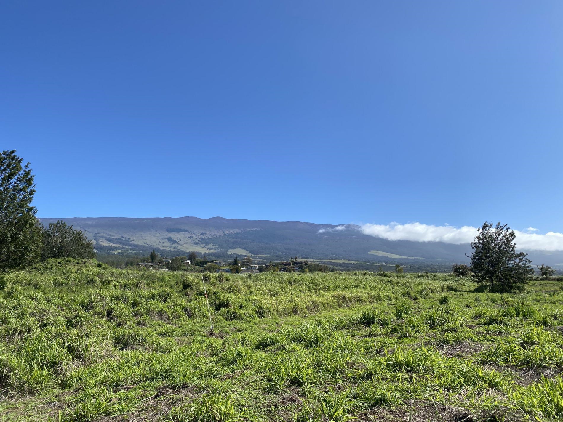 172 Huahua Pl Unit A Kula, Hi vacant land for sale - photo 15 of 30