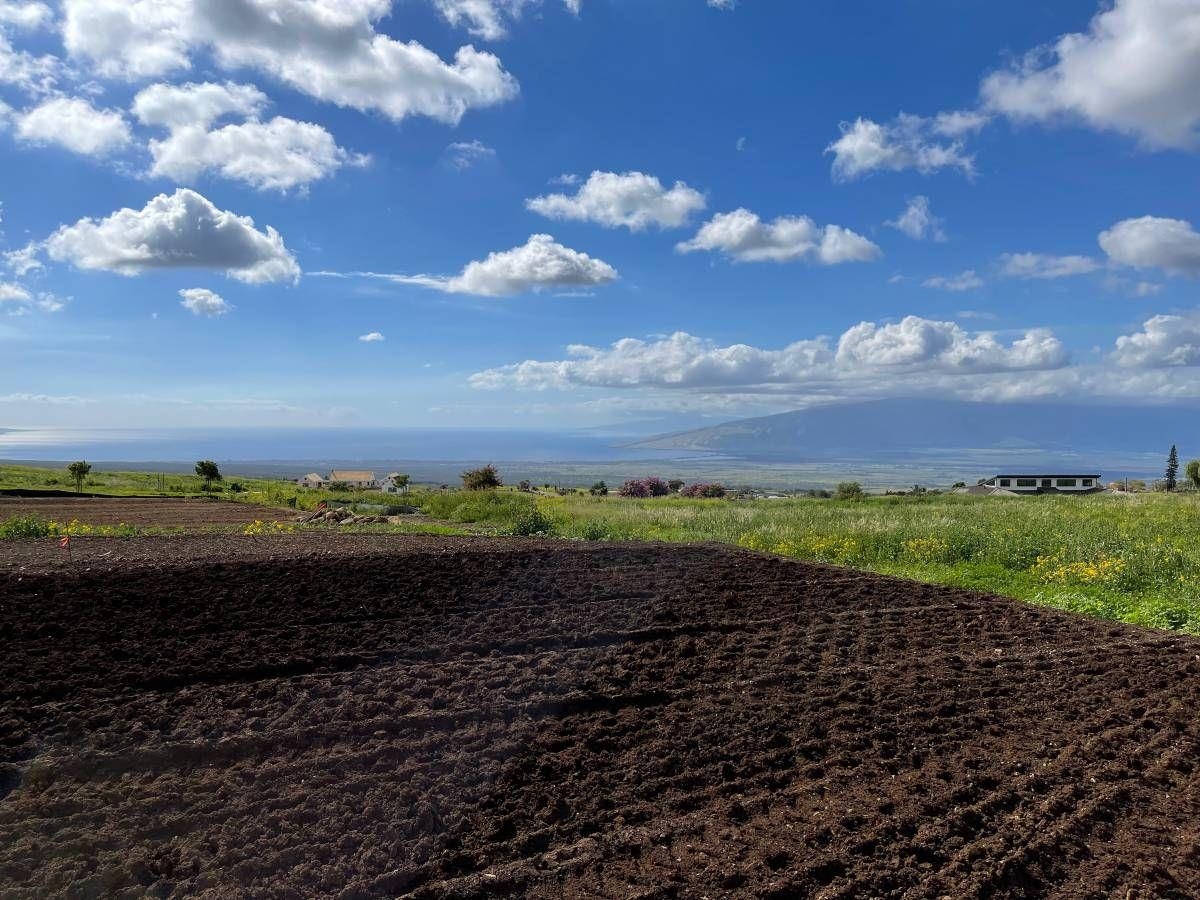 172 Huahua Pl Unit A Kula, Hi vacant land for sale - photo 17 of 30