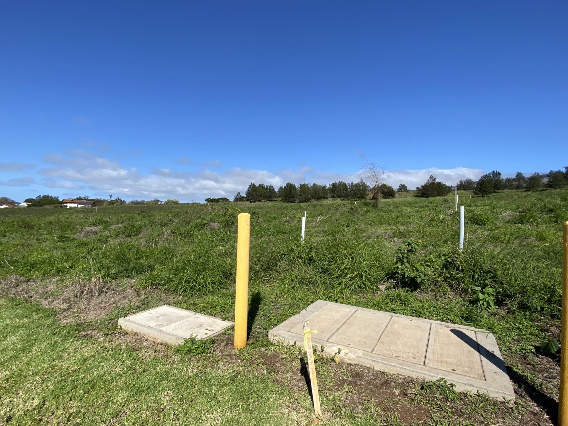 172 Huahua Pl Unit A Kula, Hi vacant land for sale - photo 23 of 30