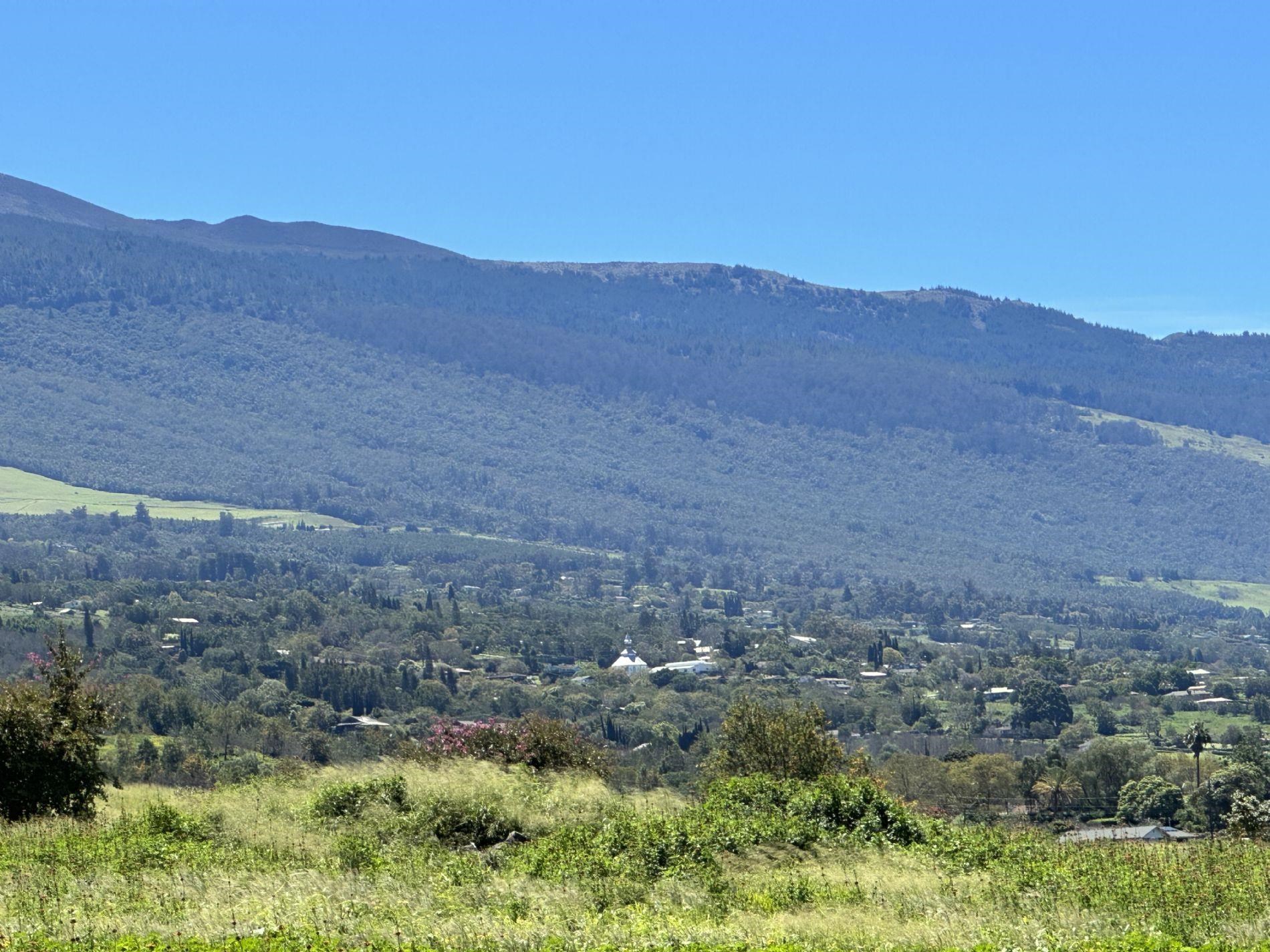 172 Huahua Pl Unit A Kula, Hi vacant land for sale - photo 8 of 30