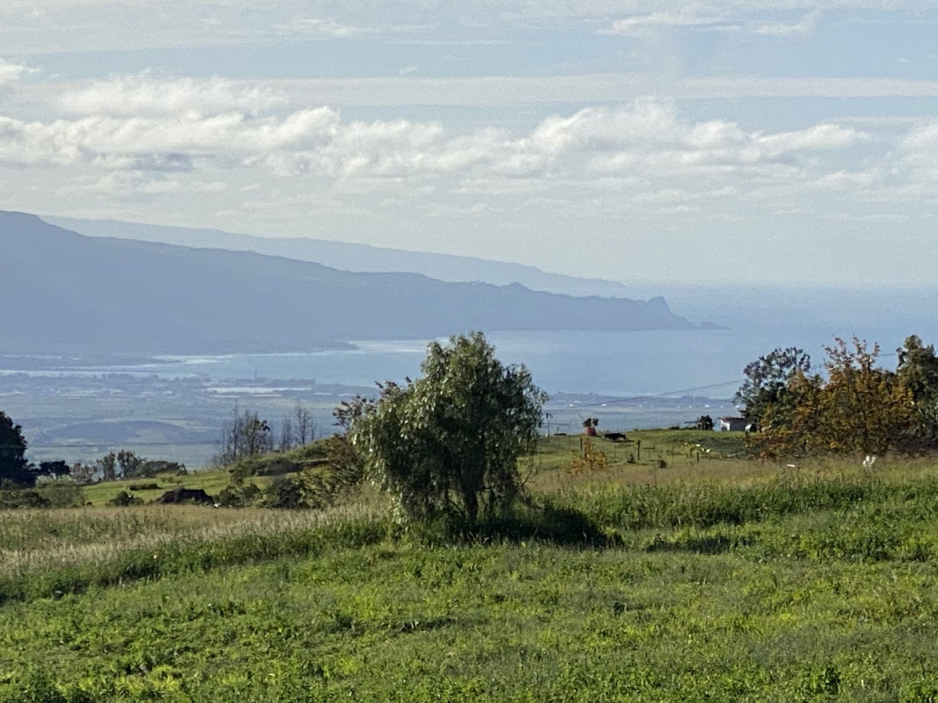 172 Huahua Pl Unit A Kula, Hi vacant land for sale - photo 10 of 30