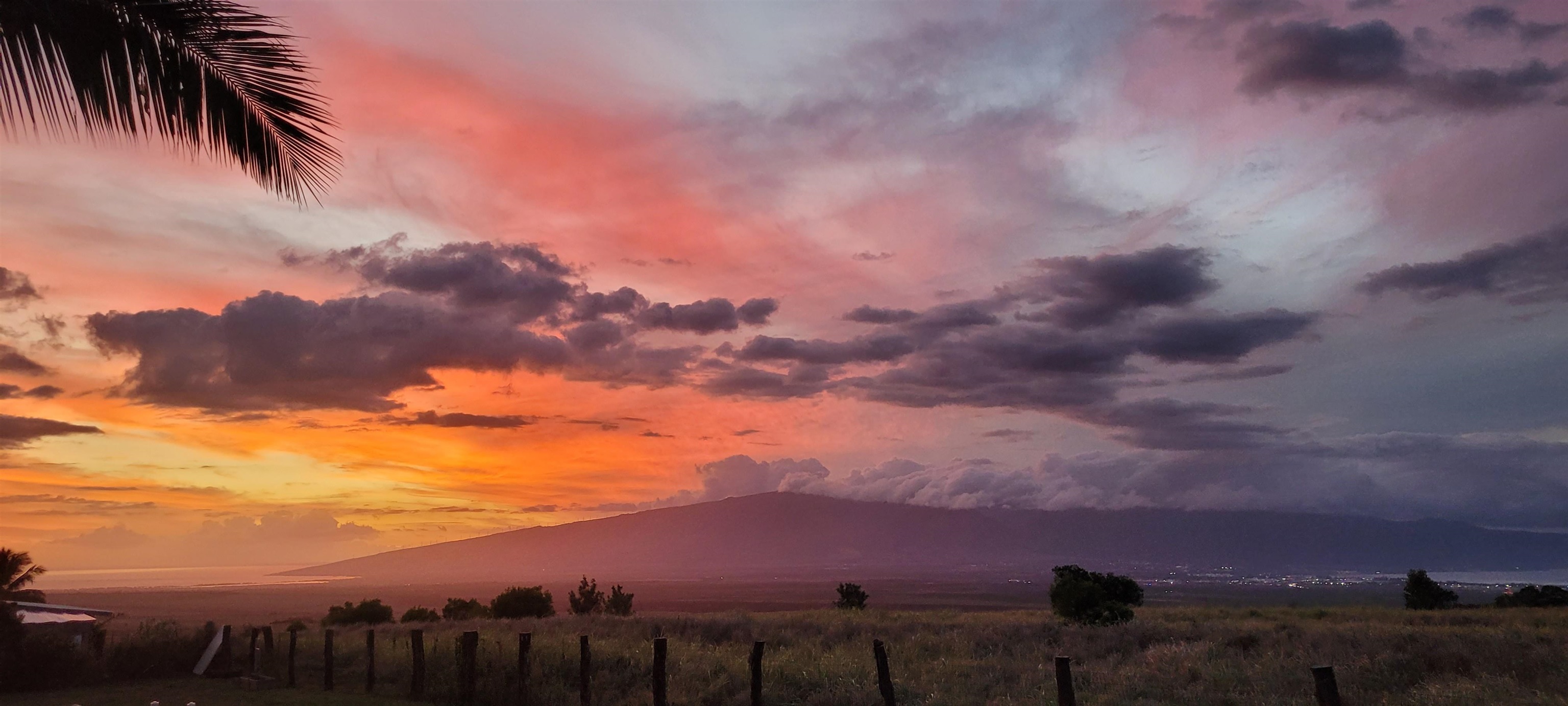 172  Ikea Pl Pukalani, Makawao/Olinda/Haliimaile home - photo 3 of 43