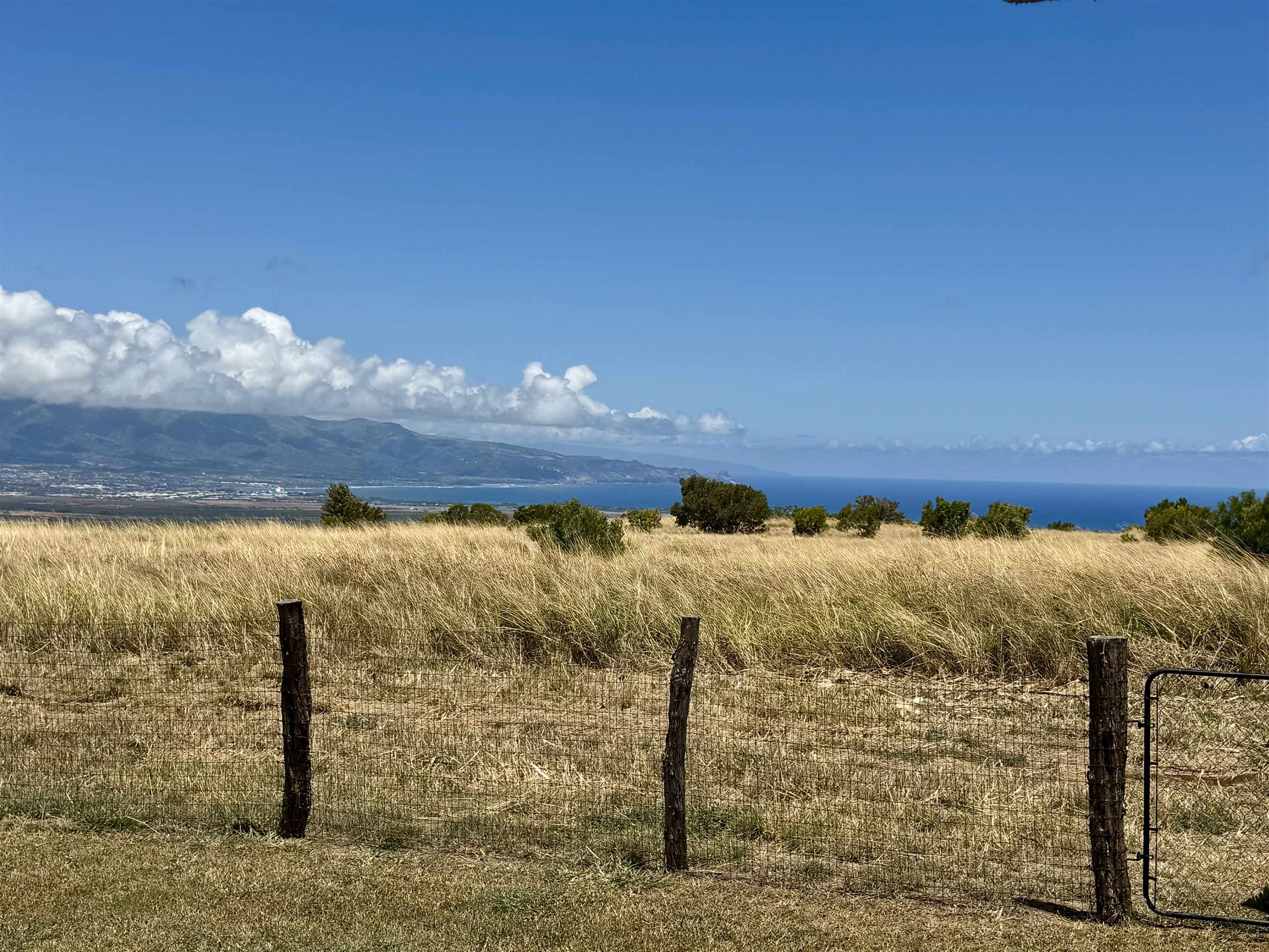 172  Ikea Pl Pukalani, Makawao/Olinda/Haliimaile home - photo 4 of 43
