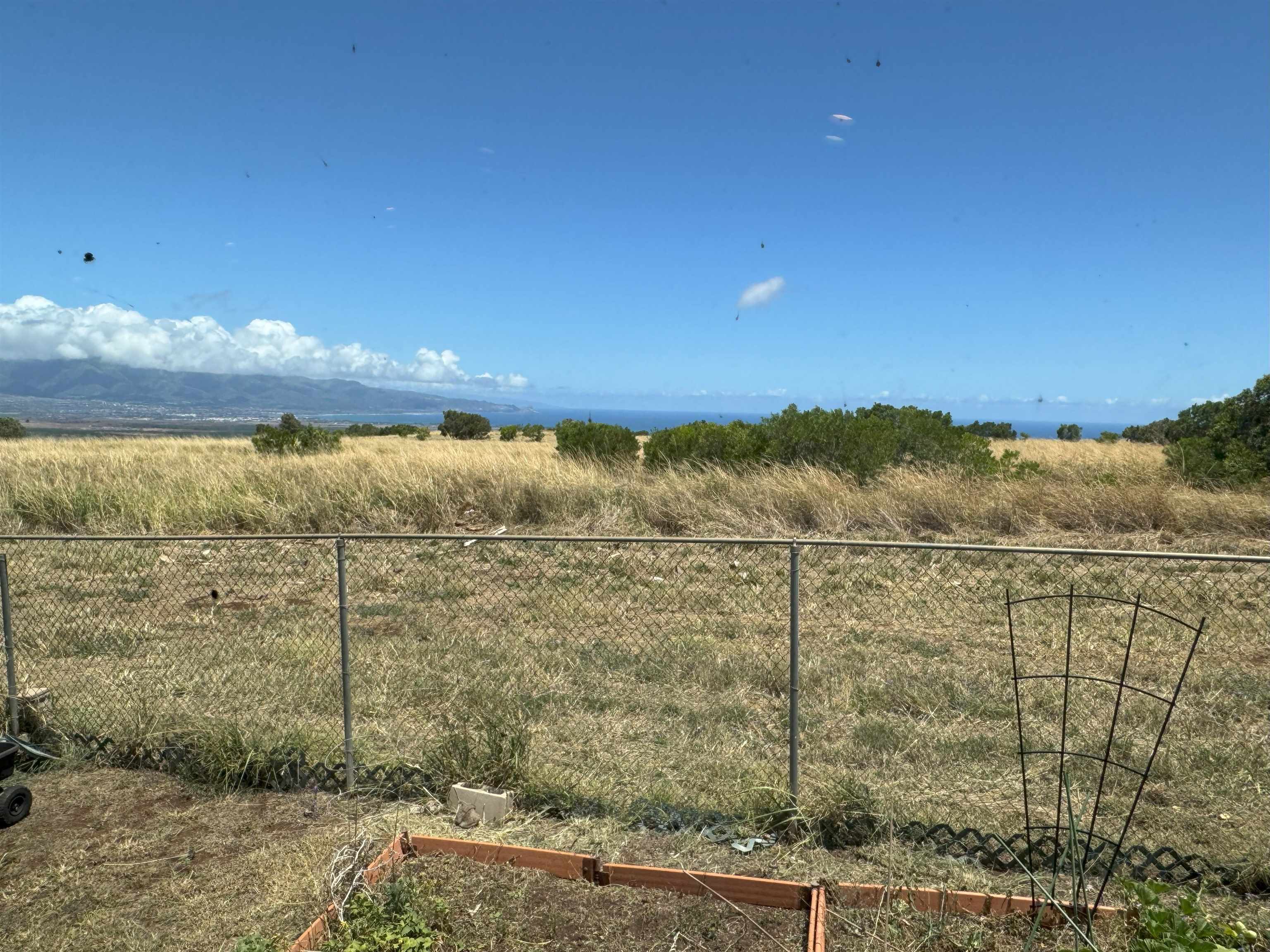 172  Ikea Pl Pukalani, Makawao/Olinda/Haliimaile home - photo 36 of 43