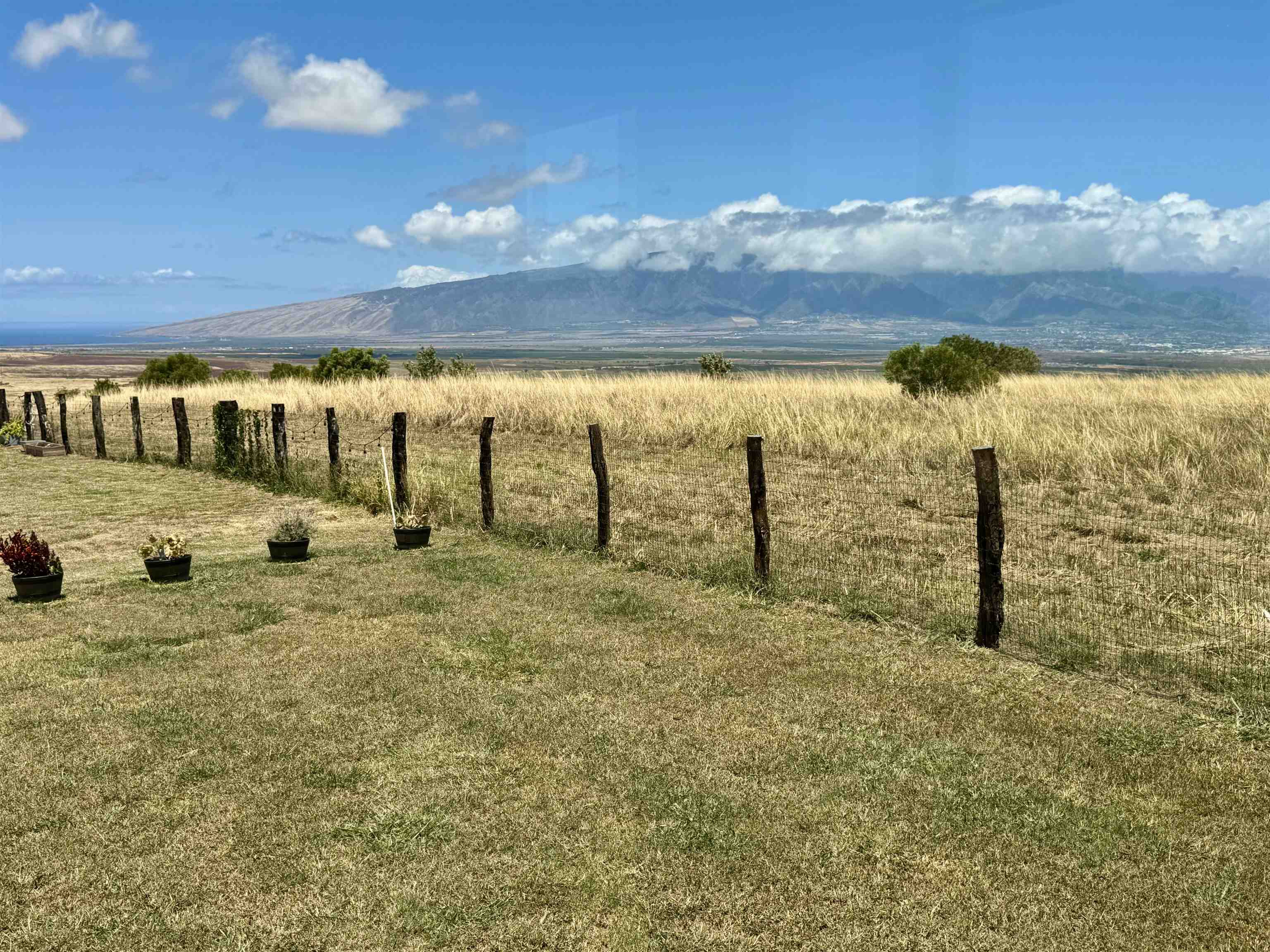 172  Ikea Pl Pukalani, Makawao/Olinda/Haliimaile home - photo 38 of 43