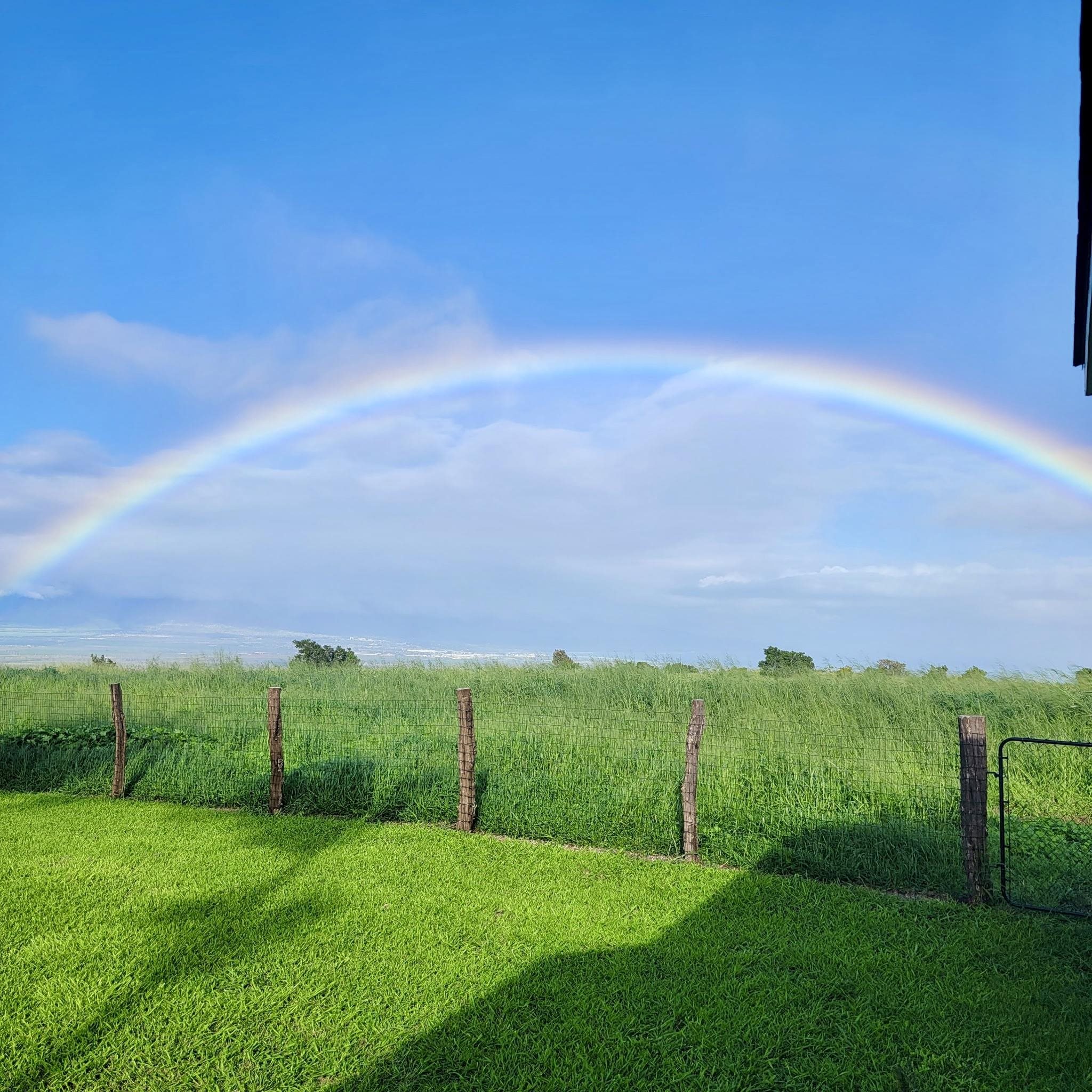 172  Ikea Pl Pukalani, Makawao/Olinda/Haliimaile home - photo 41 of 43