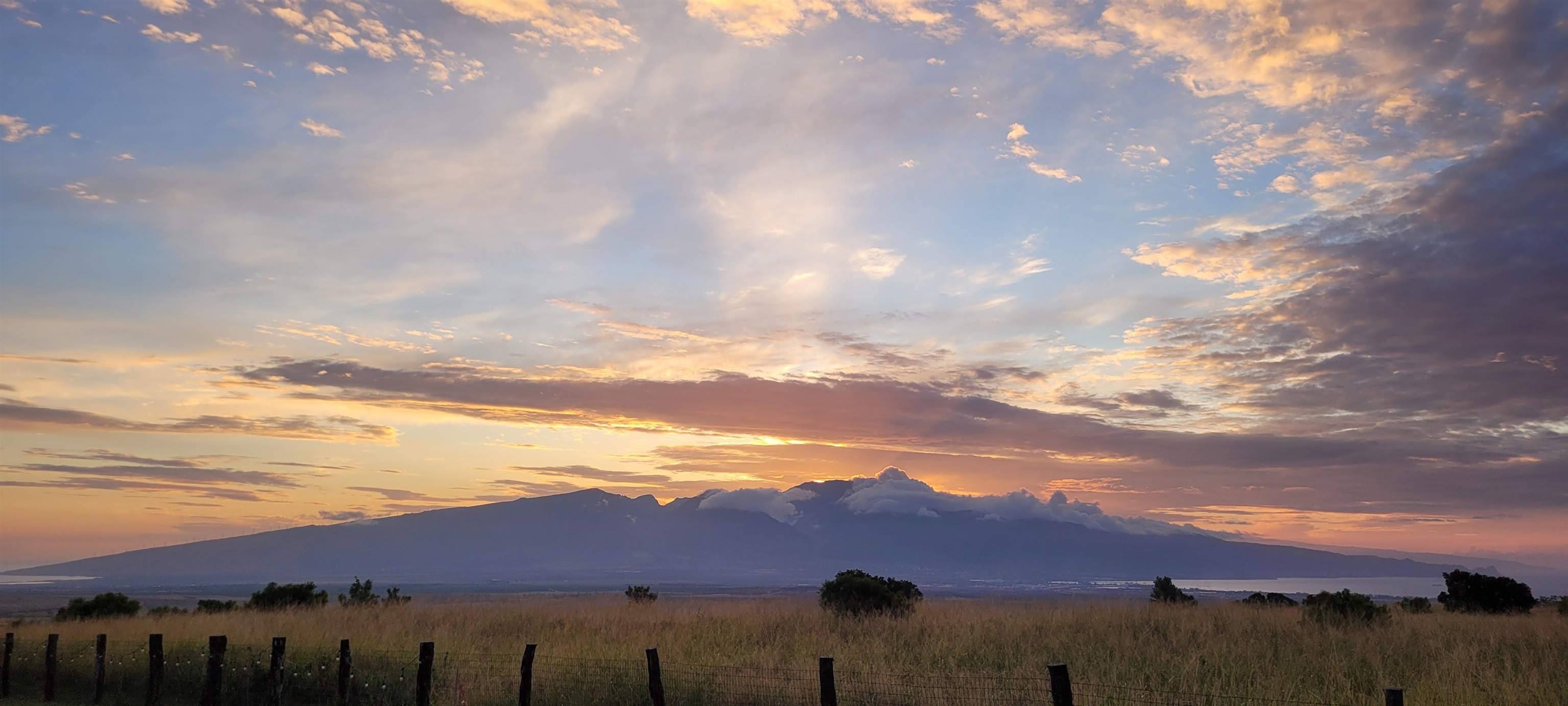 172  Ikea Pl Pukalani, Makawao/Olinda/Haliimaile home - photo 42 of 43