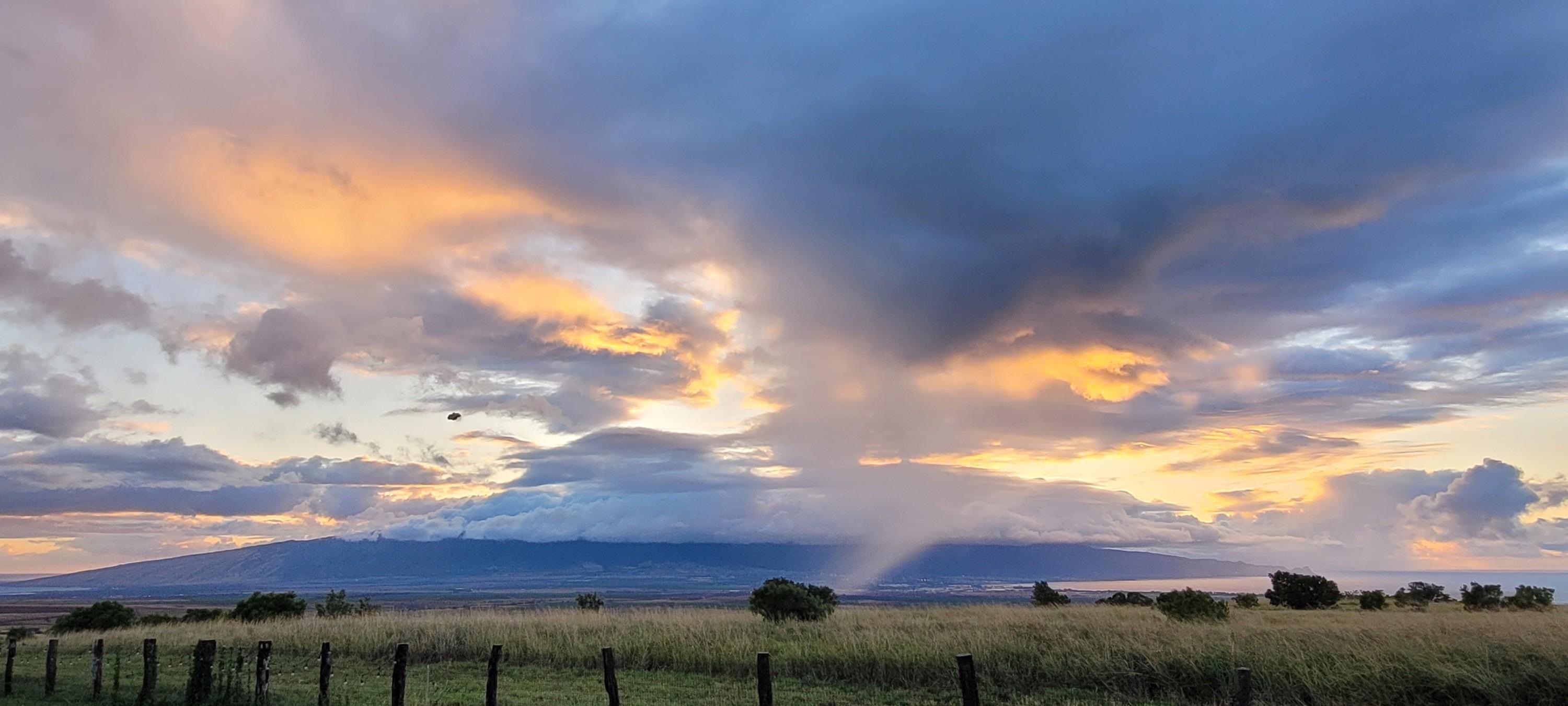 172  Ikea Pl Pukalani, Makawao/Olinda/Haliimaile home - photo 43 of 43