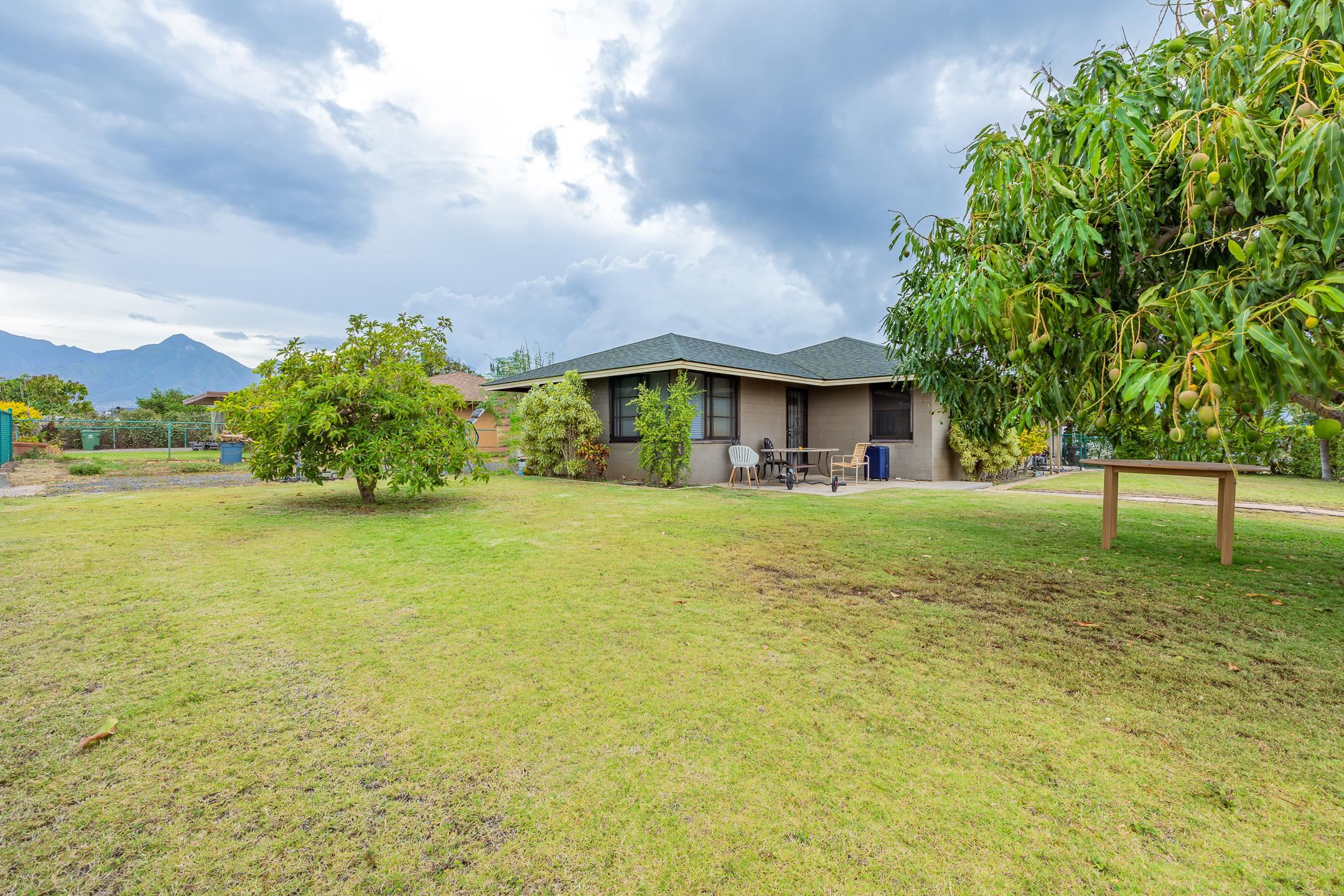 172  Papa Ave Kahului Town Development, Kahului home - photo 18 of 24
