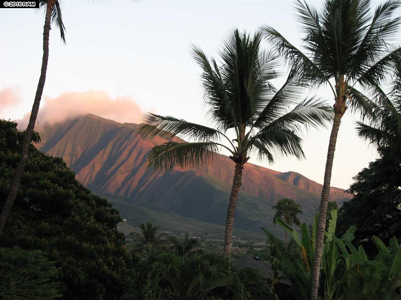 173  Waianae Pl Old Lahaina Town, Lahaina home - photo 10 of 30