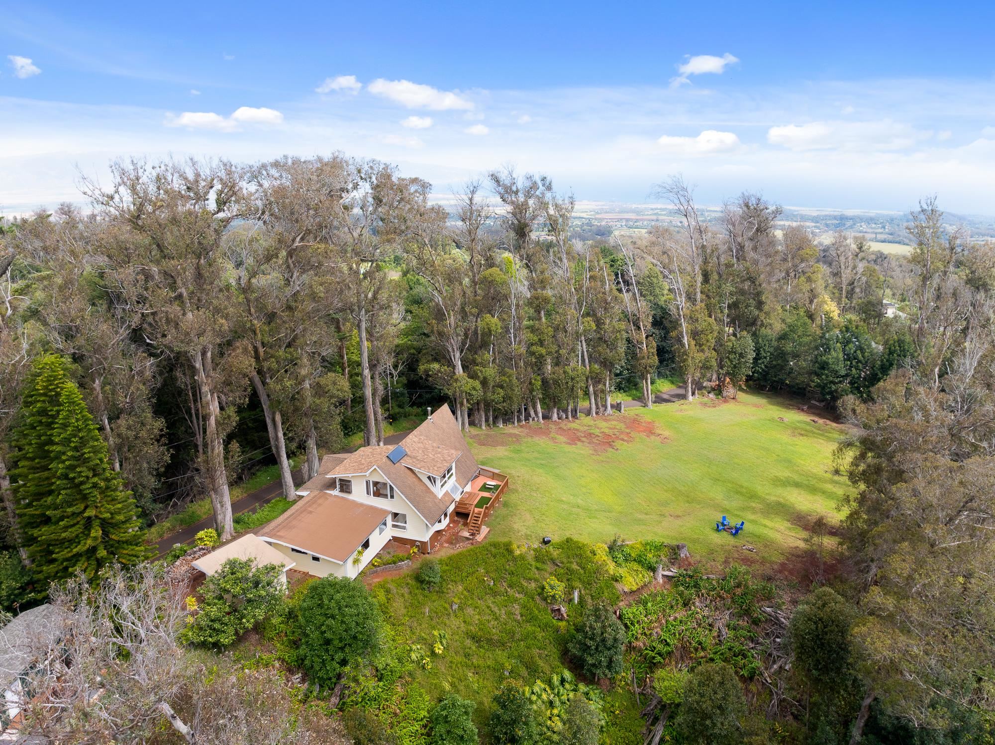 1733  Piiholo Rd , Makawao/Olinda/Haliimaile home - photo 5 of 23