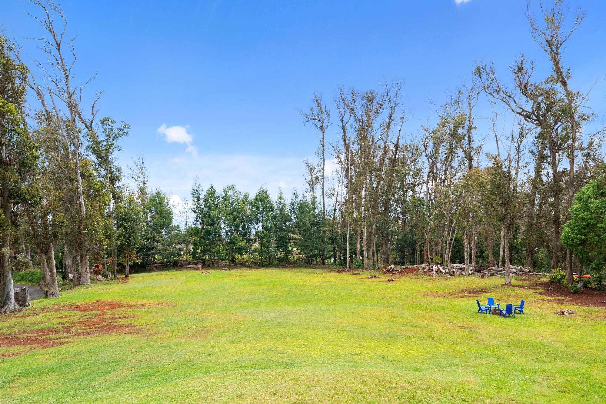 1733  Piiholo Rd , Makawao/Olinda/Haliimaile home - photo 7 of 23