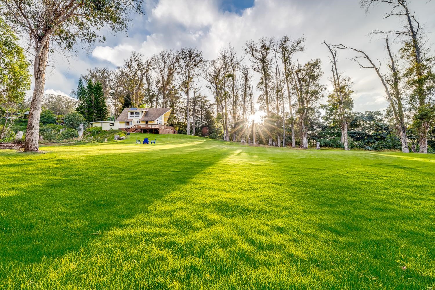 1733  Piiholo Rd Rd , Makawao/Olinda/Haliimaile home - photo 14 of 50