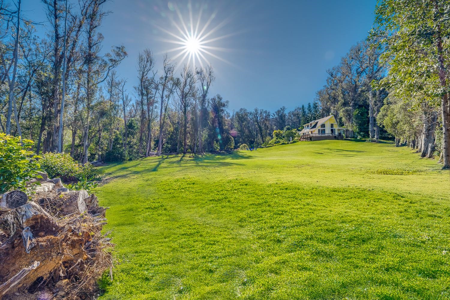 1733  Piiholo Rd Rd , Makawao/Olinda/Haliimaile home - photo 15 of 50