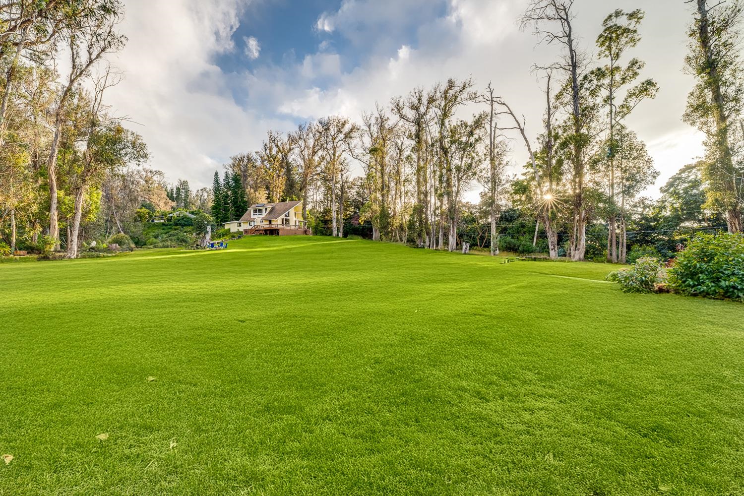 1733  Piiholo Rd Rd , Makawao/Olinda/Haliimaile home - photo 16 of 50