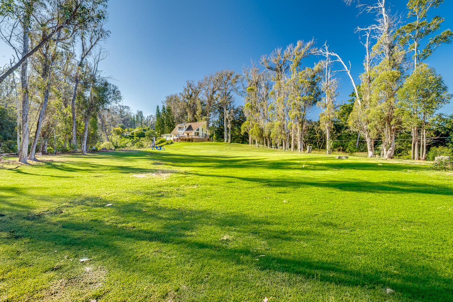 1733  Piiholo Rd Rd , Makawao/Olinda/Haliimaile home - photo 17 of 50