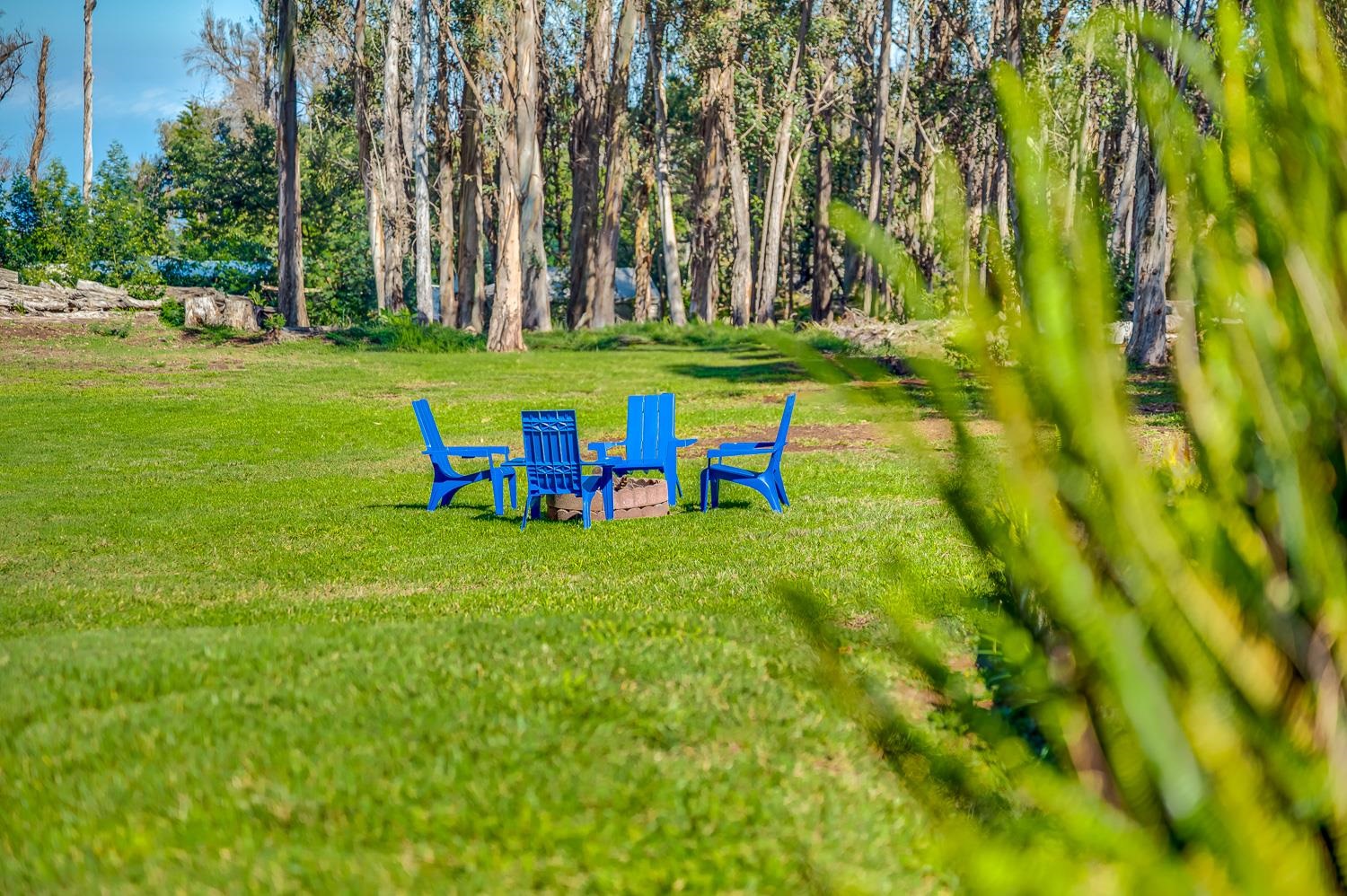 1733  Piiholo Rd Rd , Makawao/Olinda/Haliimaile home - photo 18 of 50