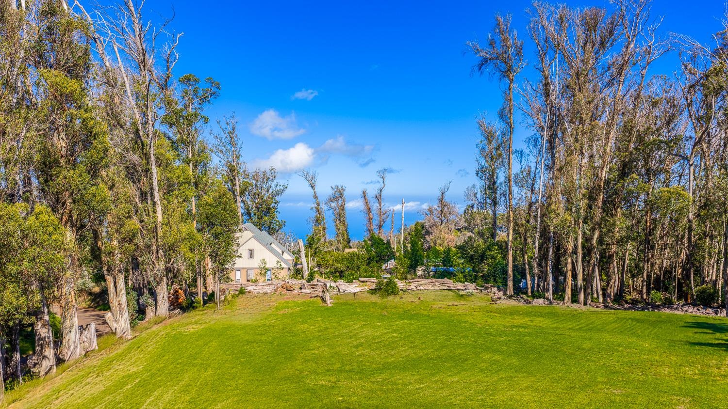 1733  Piiholo Rd Rd , Makawao/Olinda/Haliimaile home - photo 20 of 50