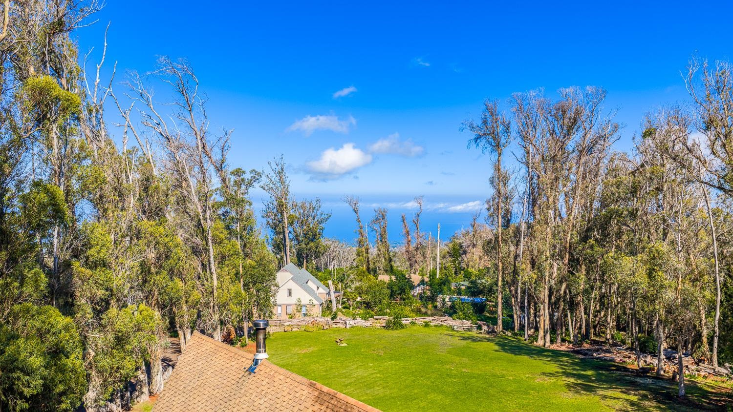 1733  Piiholo Rd Rd , Makawao/Olinda/Haliimaile home - photo 22 of 50