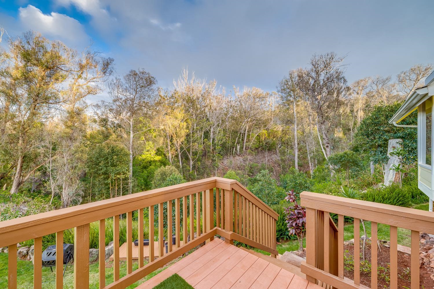 1733  Piiholo Rd Rd , Makawao/Olinda/Haliimaile home - photo 26 of 50