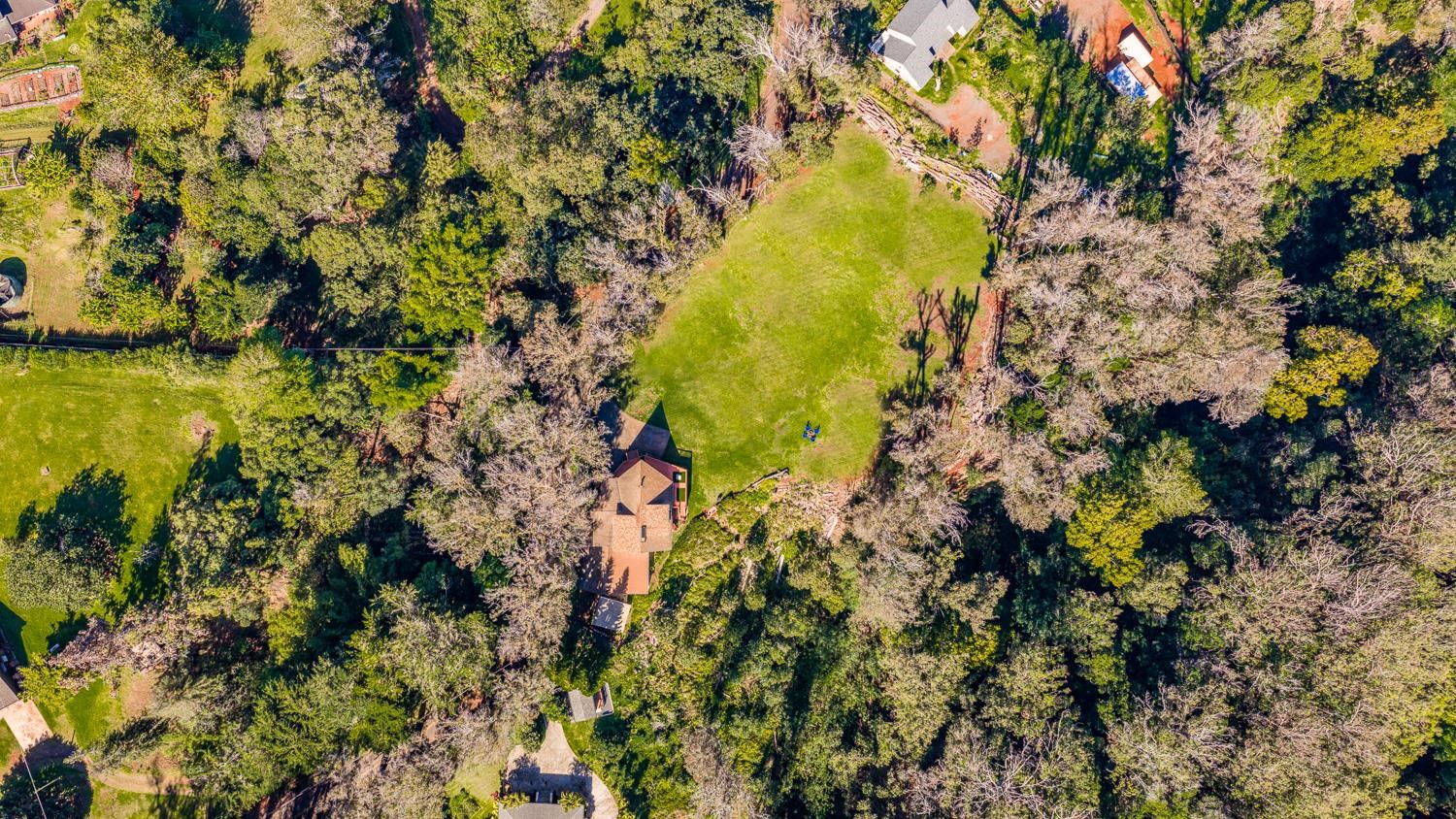 1733  Piiholo Rd Rd , Makawao/Olinda/Haliimaile home - photo 48 of 50