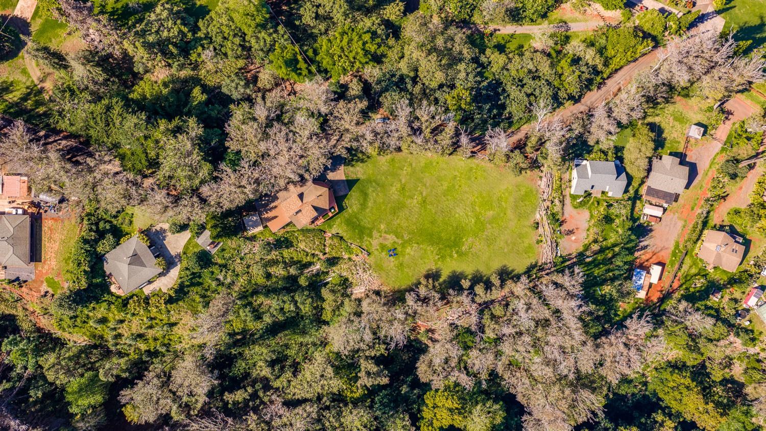 1733  Piiholo Rd Rd , Makawao/Olinda/Haliimaile home - photo 49 of 50