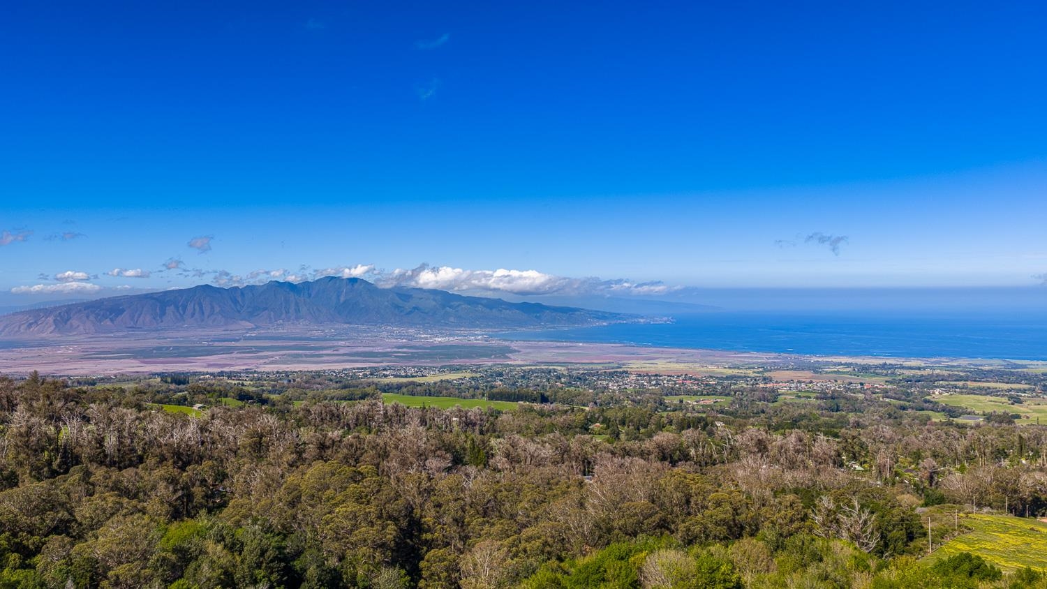 1733  Piiholo Rd Rd , Makawao/Olinda/Haliimaile home - photo 50 of 50