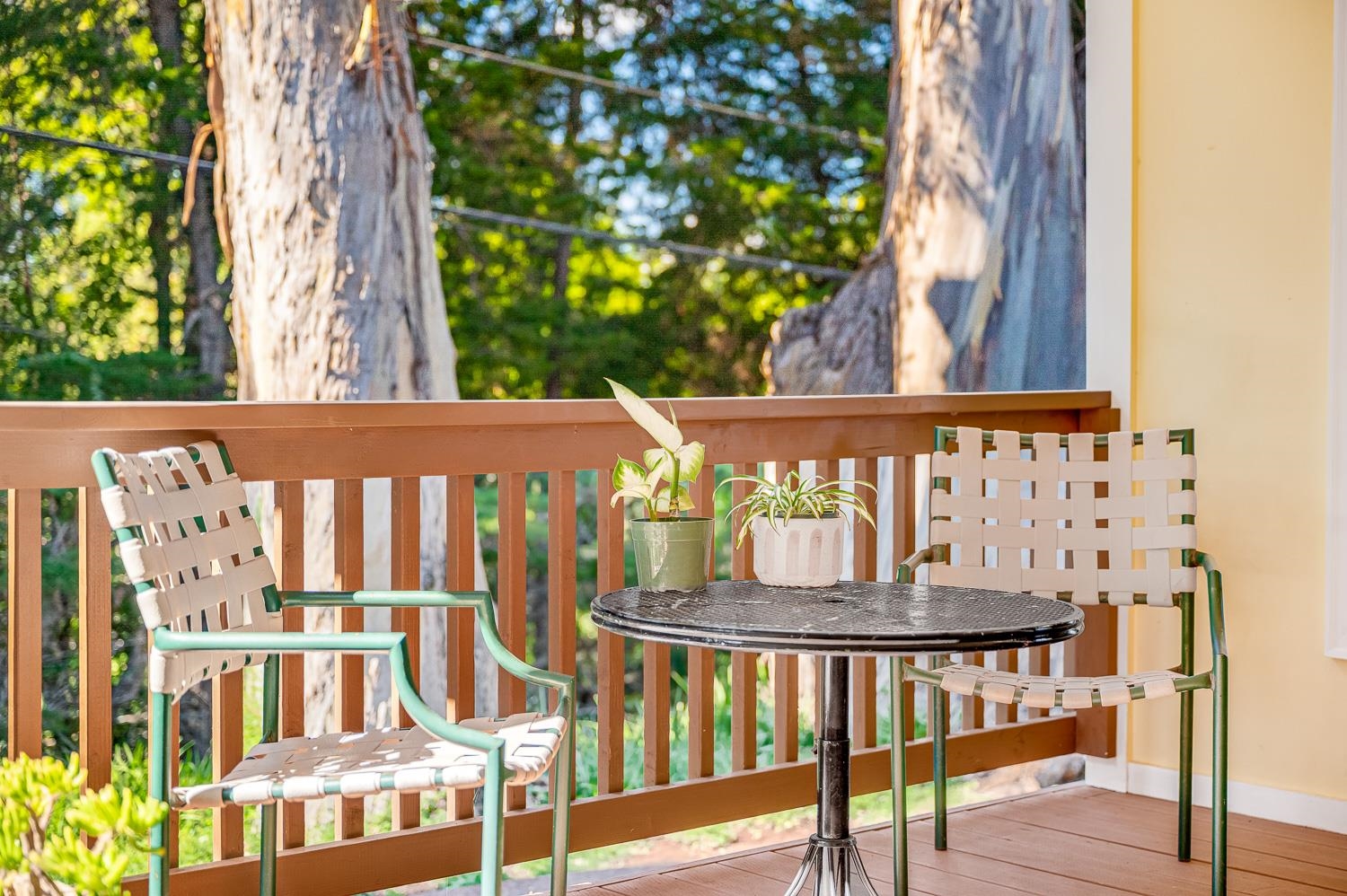 1733  Piiholo Rd Rd , Makawao/Olinda/Haliimaile home - photo 7 of 50