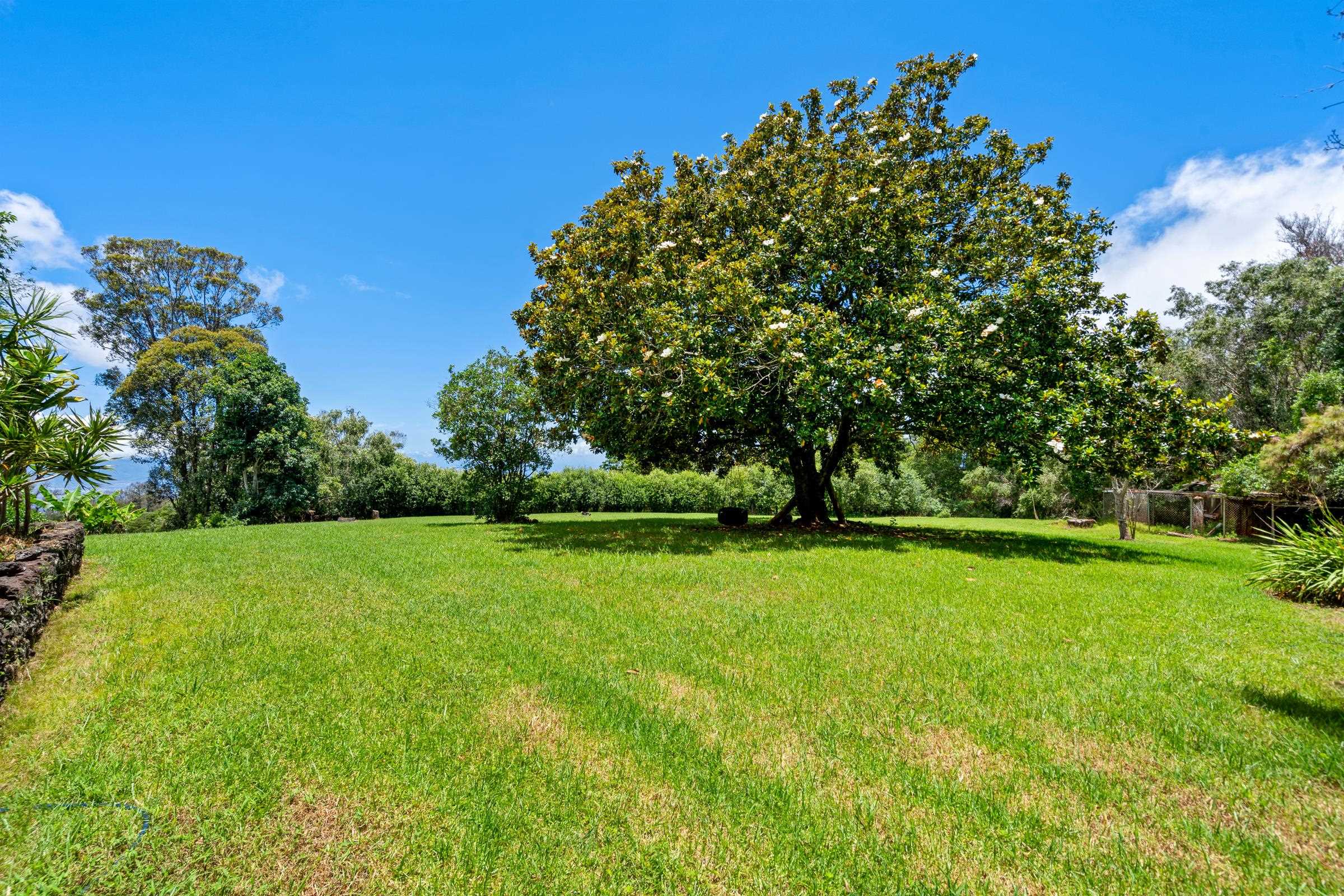 1740  Piiholo Rd , Makawao/Olinda/Haliimaile home - photo 40 of 50