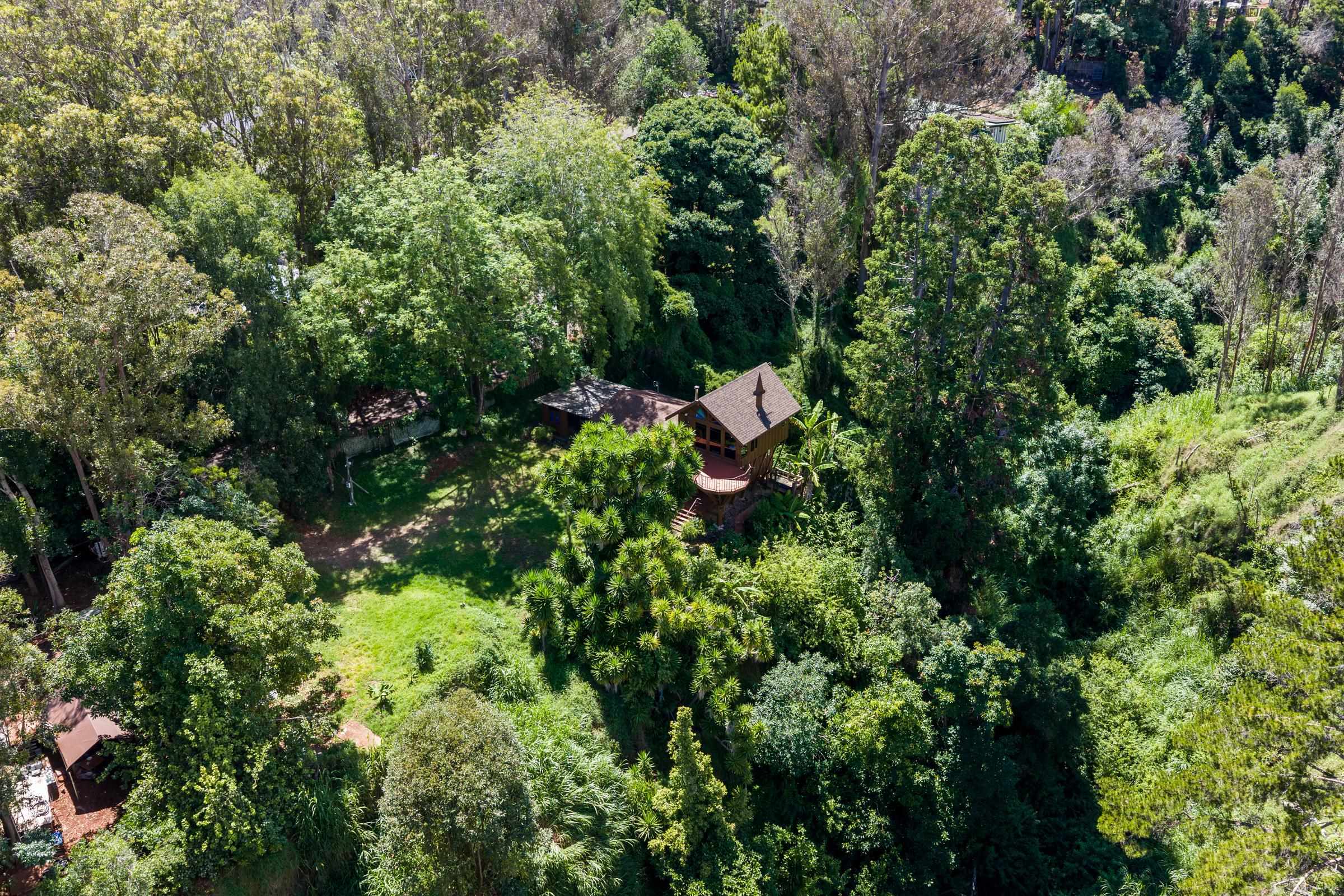 1740  Piiholo Rd , Makawao/Olinda/Haliimaile home - photo 48 of 50