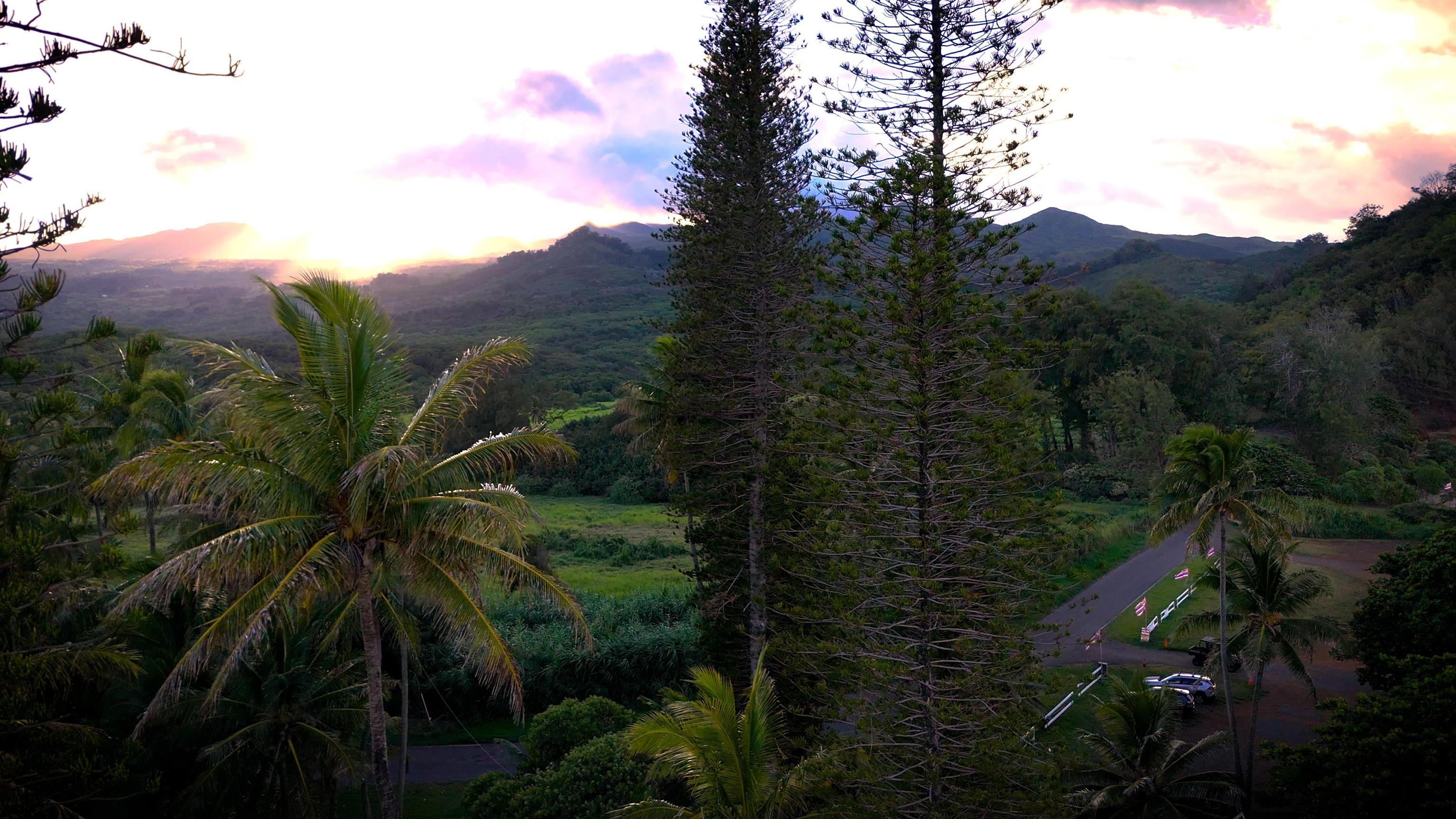 175 Haneoo Rd  Hana, Hi vacant land for sale - photo 13 of 16