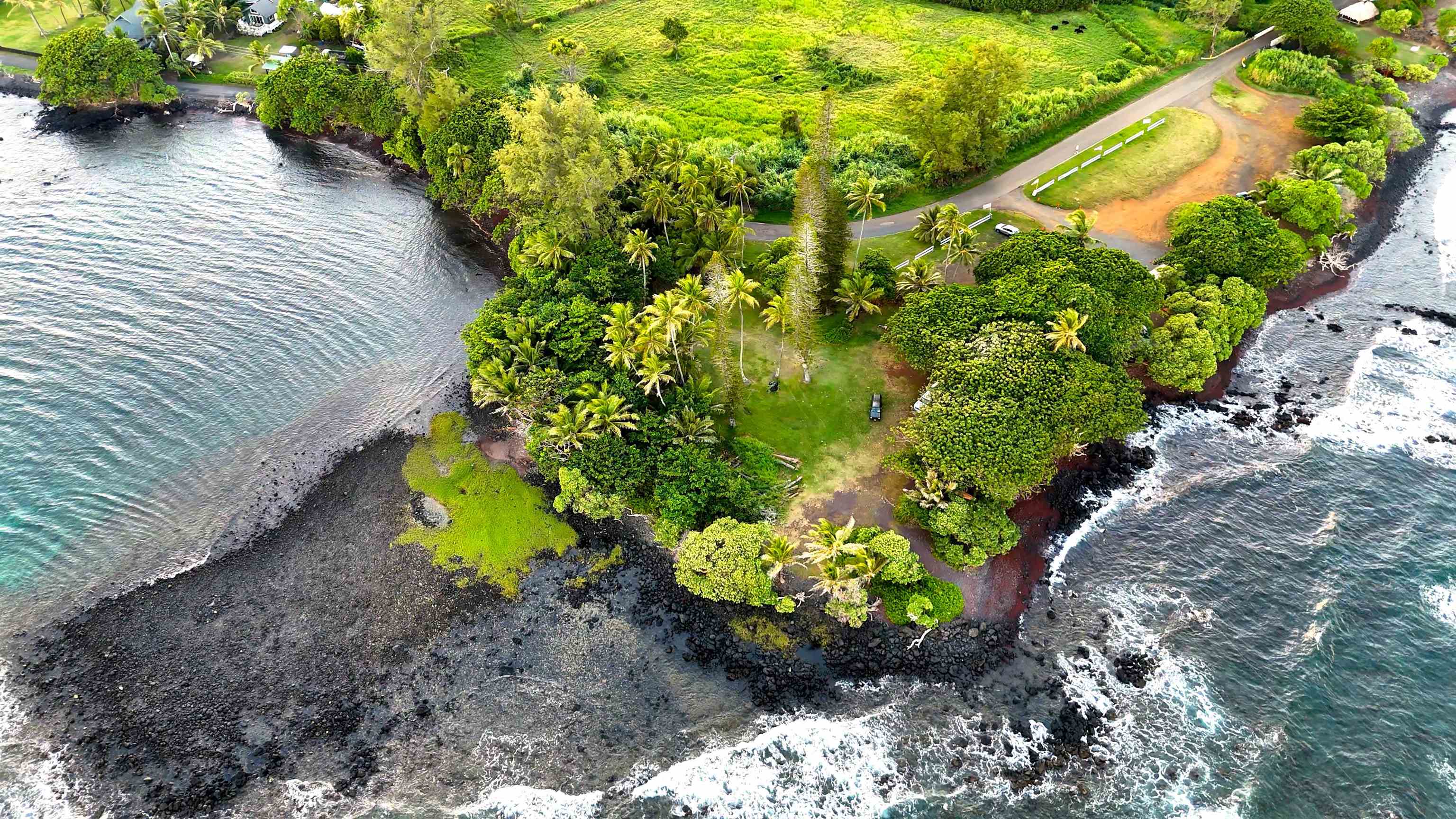 175 Haneoo Rd  Hana, Hi vacant land for sale - photo 9 of 16