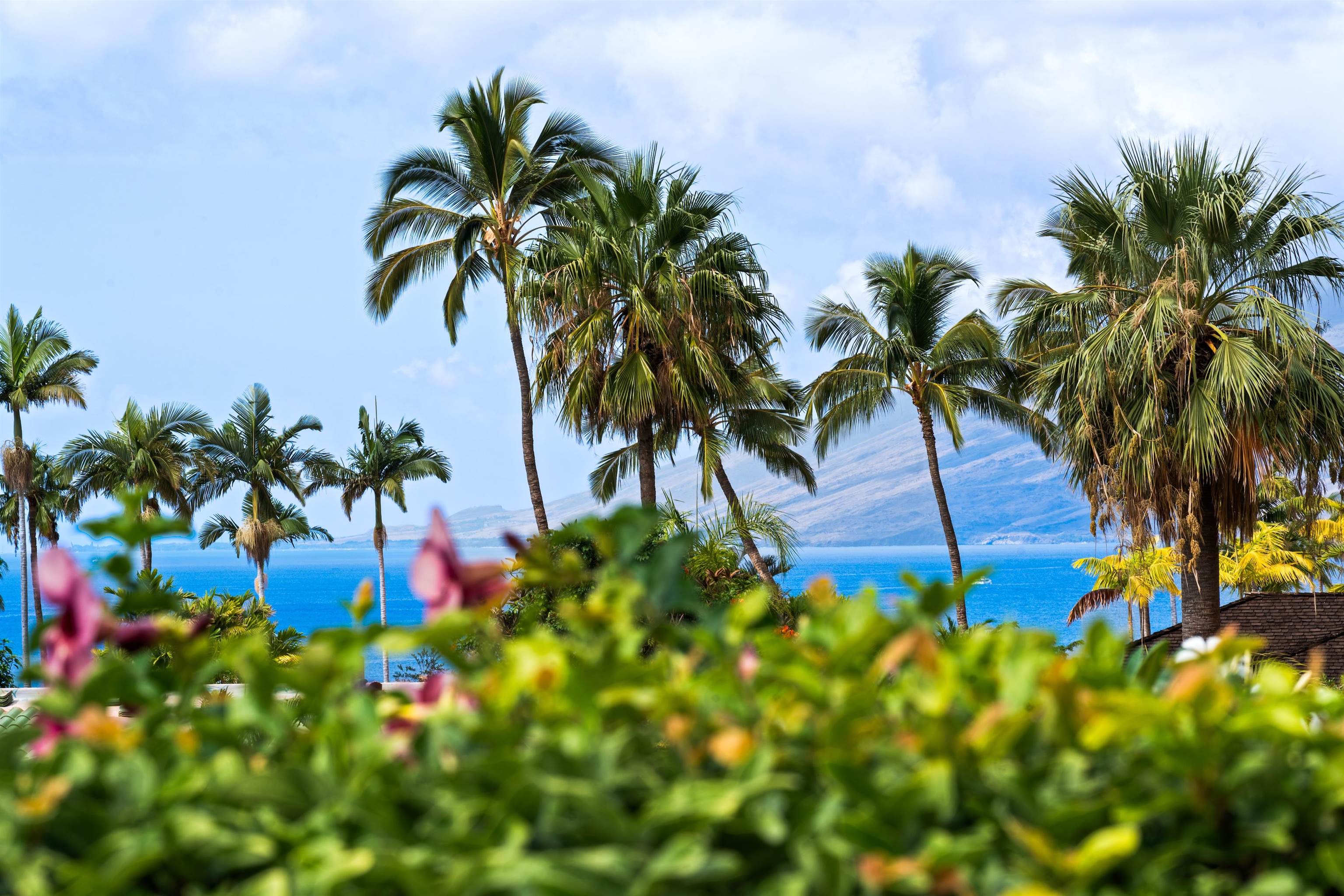 175  Ikea Moku Pl Wailea, Wailea/Makena home - photo 5 of 50