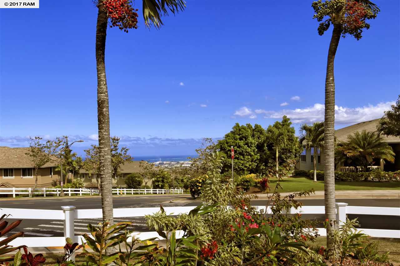 175  Kinohi Loa Loop , Wailuku home - photo 30 of 30