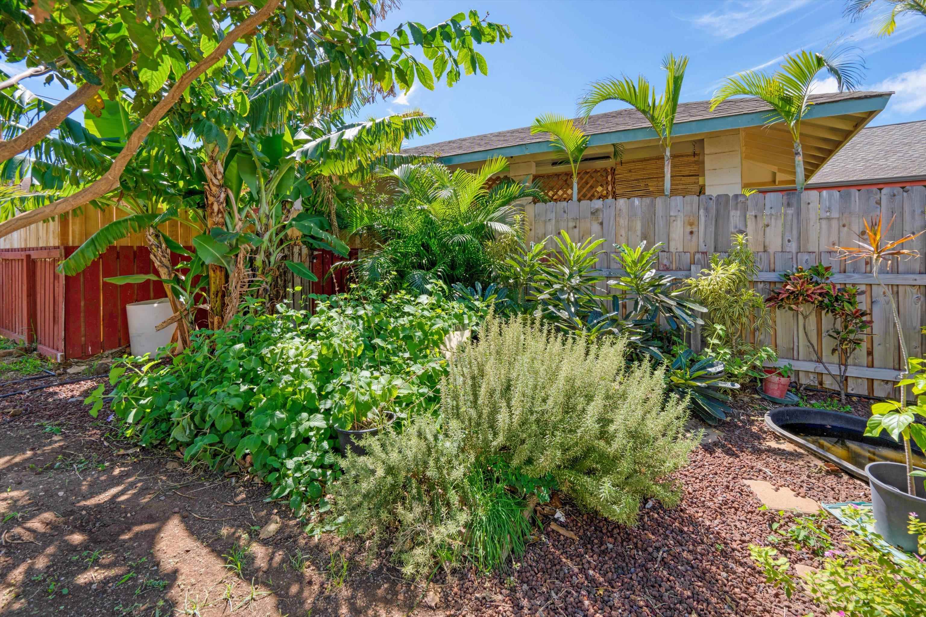 175  Molokai Akau St , Kahului home - photo 35 of 49