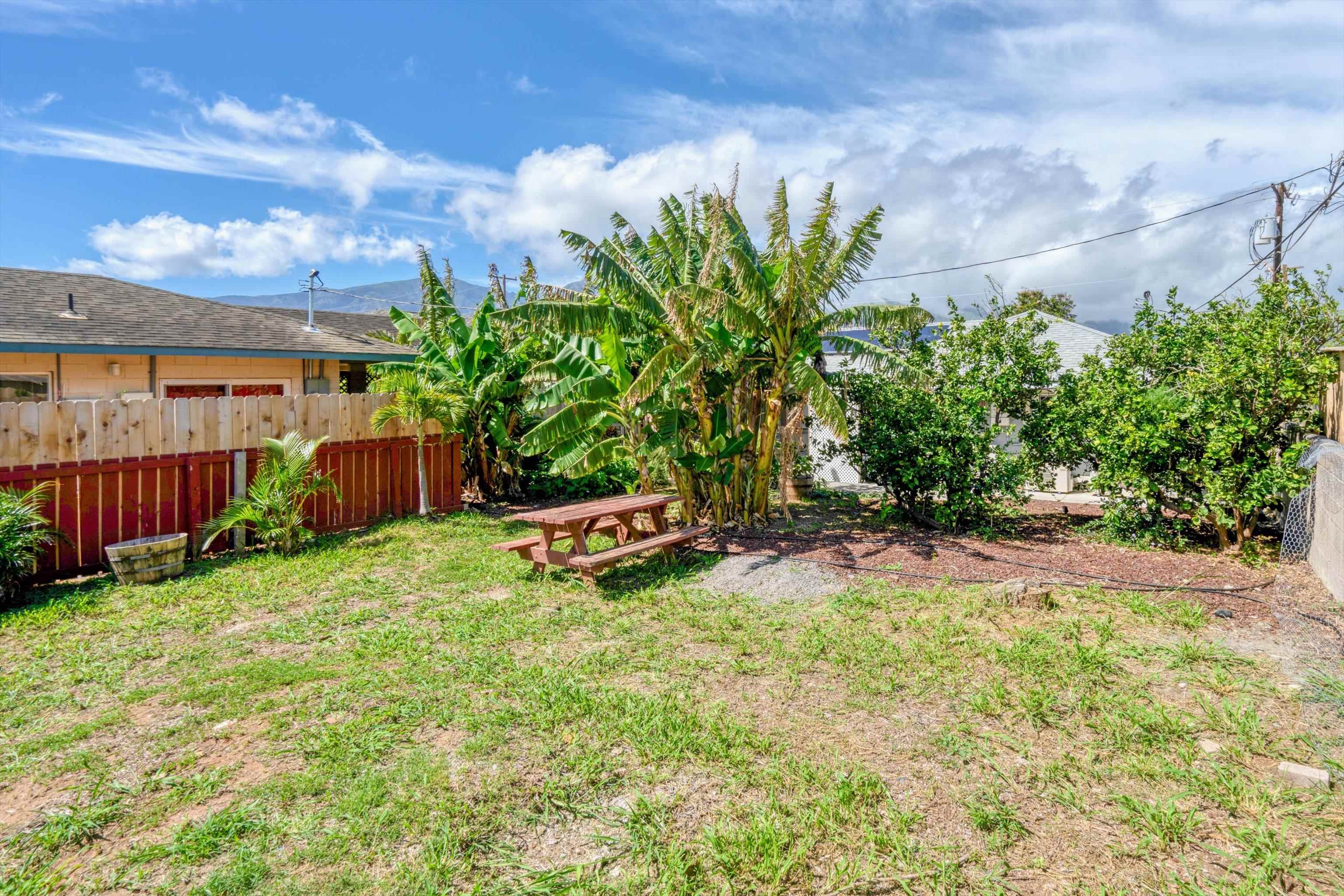 175  Molokai Akau St , Kahului home - photo 48 of 49