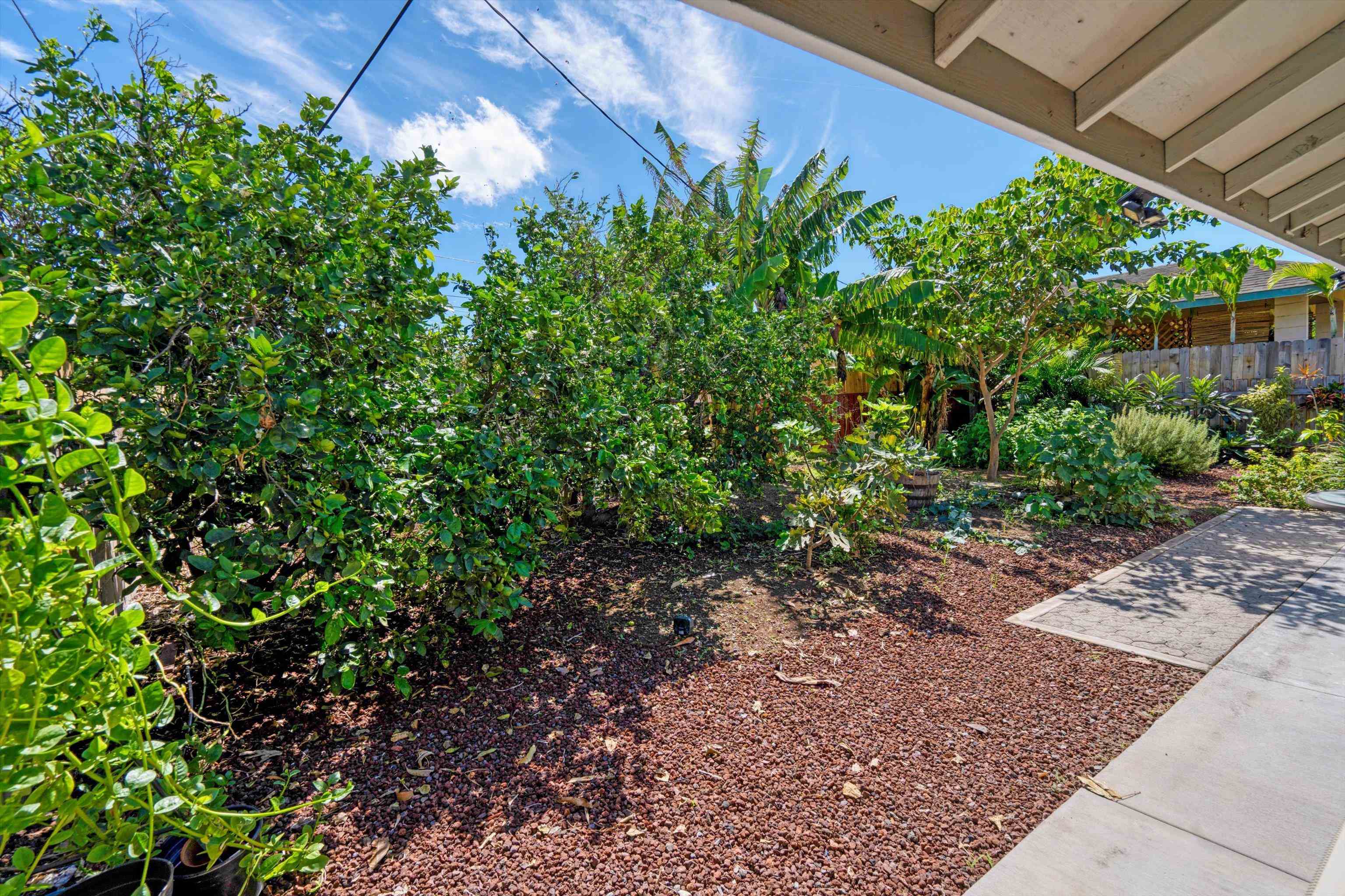 175  Molokai Akau St , Kahului home - photo 49 of 49