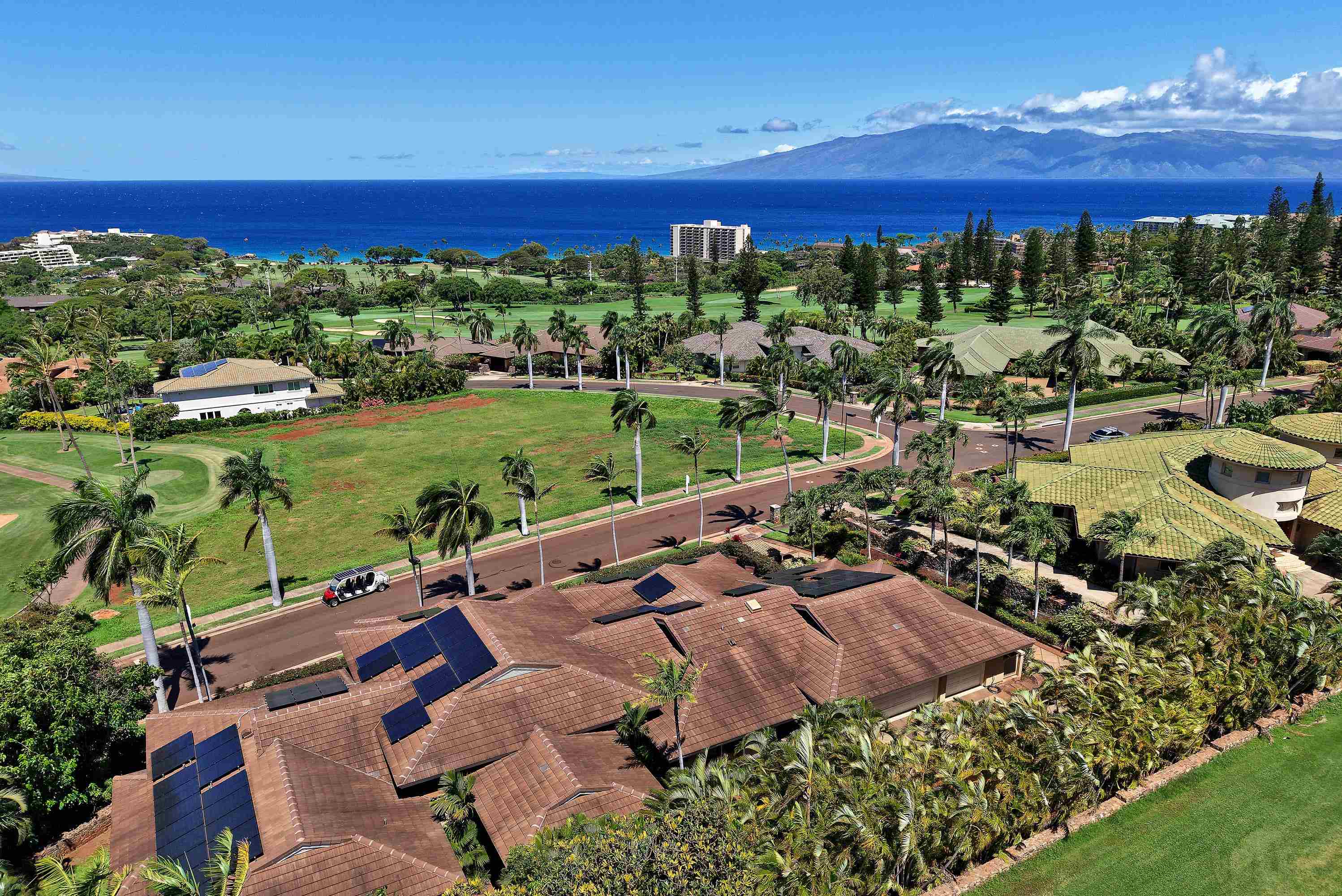 175  Ulukoa Pl Kaanapali, Kaanapali home - photo 2 of 50
