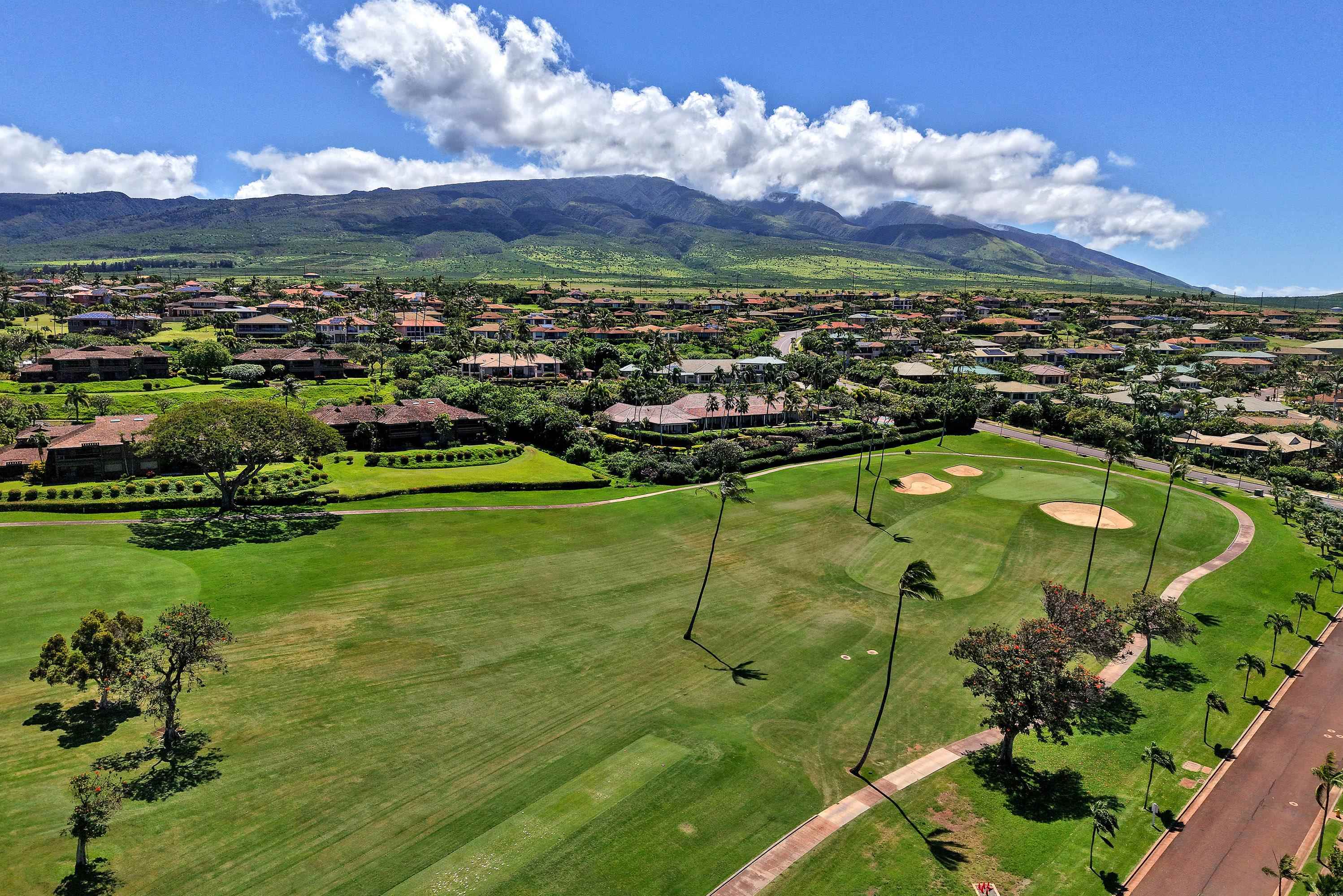 175  Ulukoa Pl Kaanapali, Kaanapali home - photo 3 of 50
