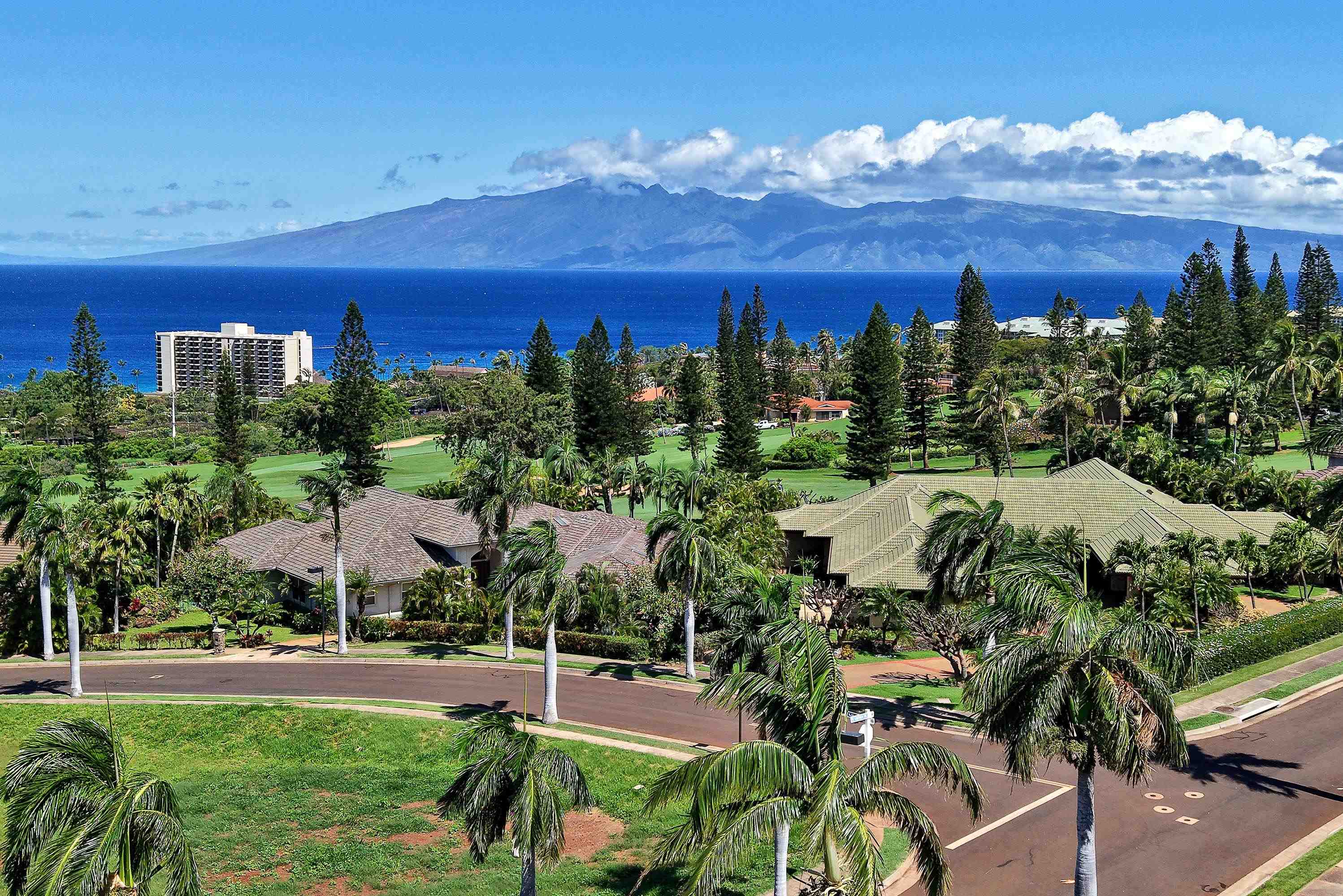 175  Ulukoa Pl Kaanapali, Kaanapali home - photo 4 of 50
