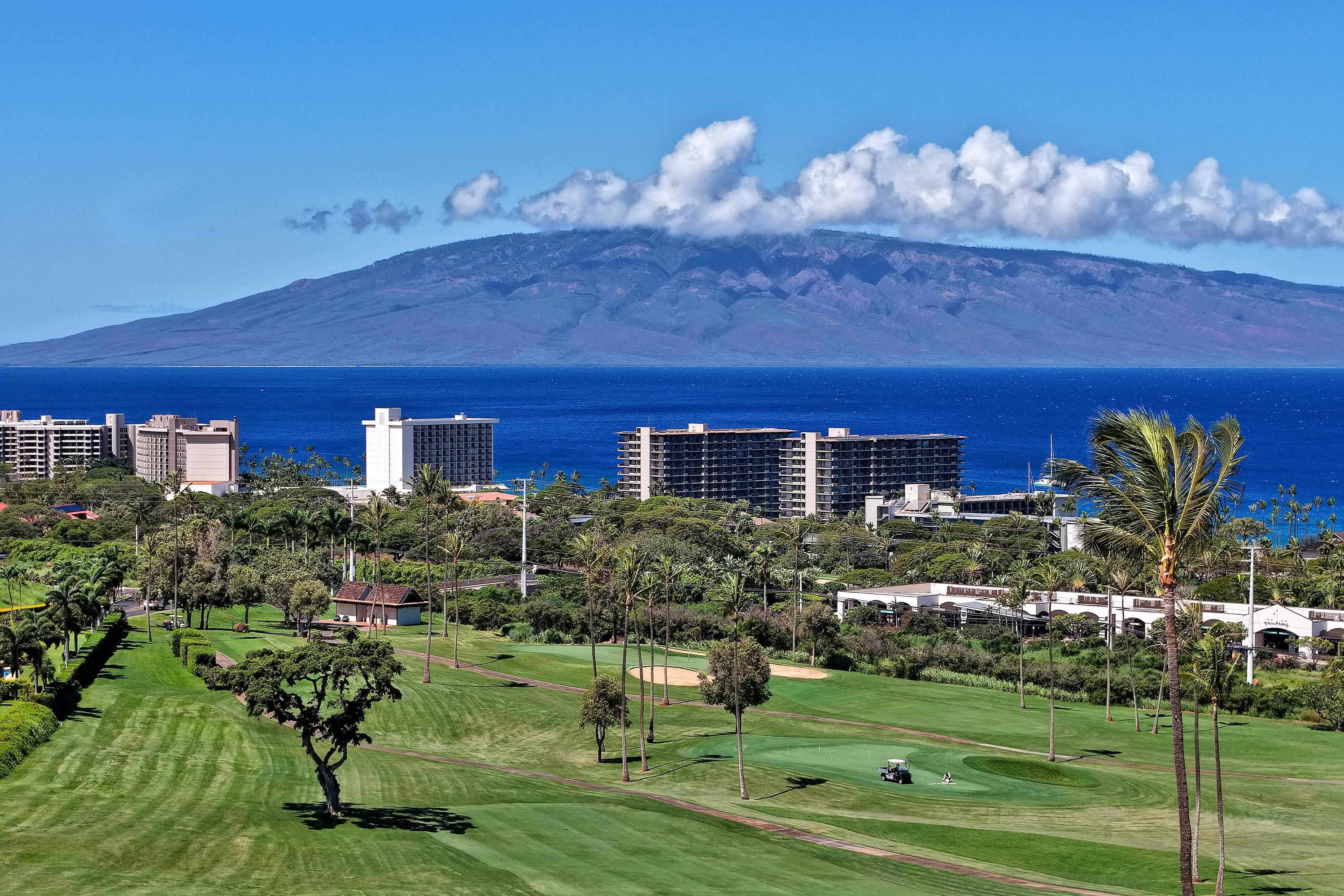175  Ulukoa Pl Kaanapali, Kaanapali home - photo 5 of 50