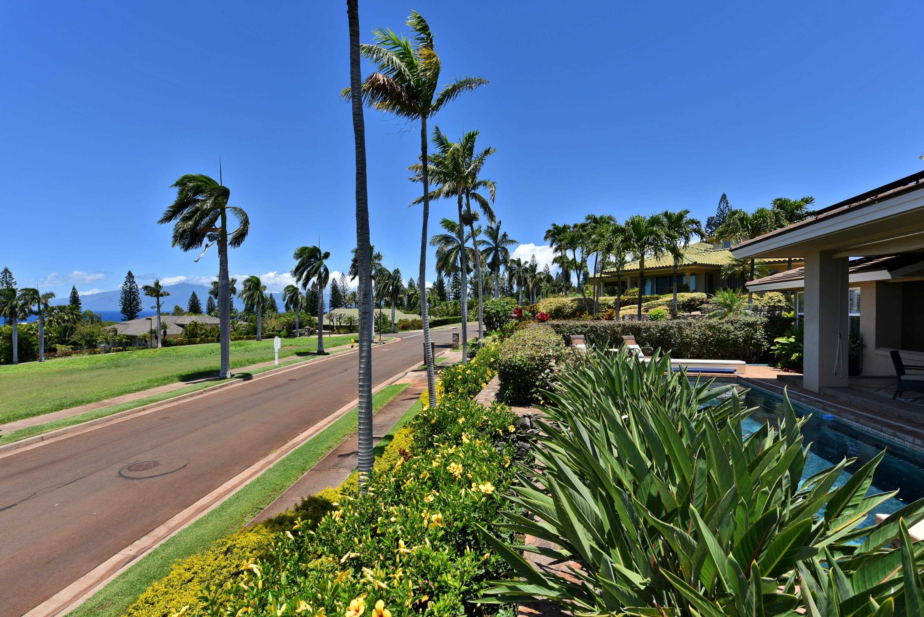 175  Ulukoa Pl Kaanapali, Kaanapali home - photo 45 of 50