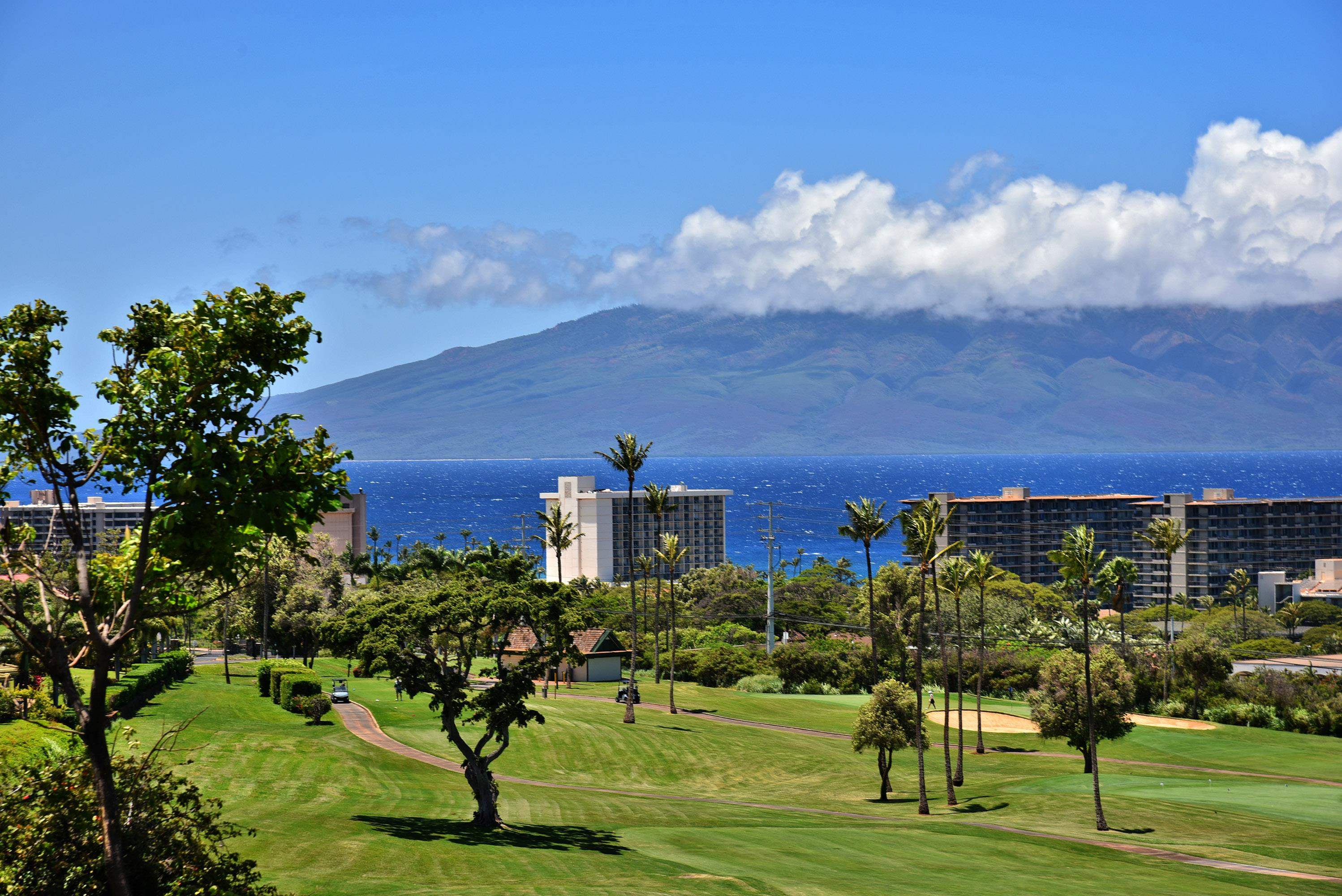 175  Ulukoa Pl Kaanapali, Kaanapali home - photo 46 of 50